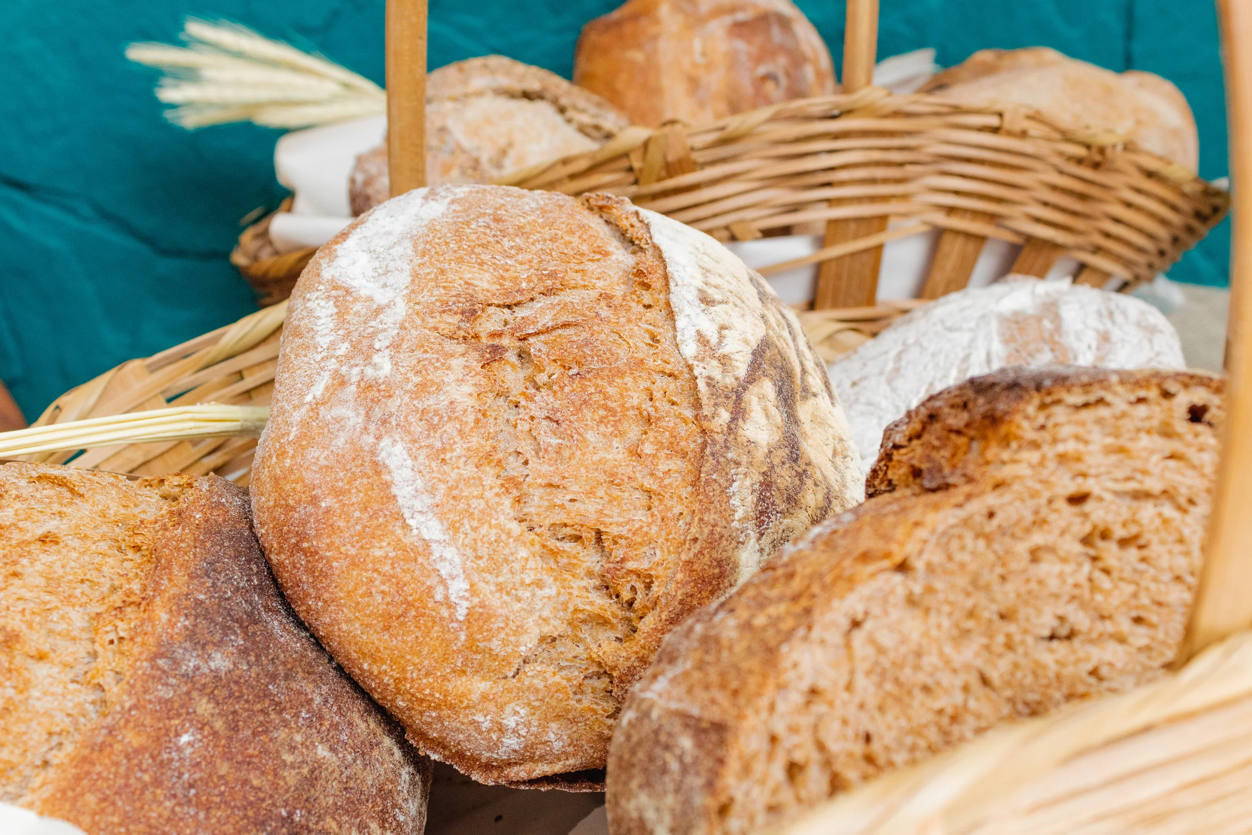 What Bread Has to Teach Us About Trusting God 