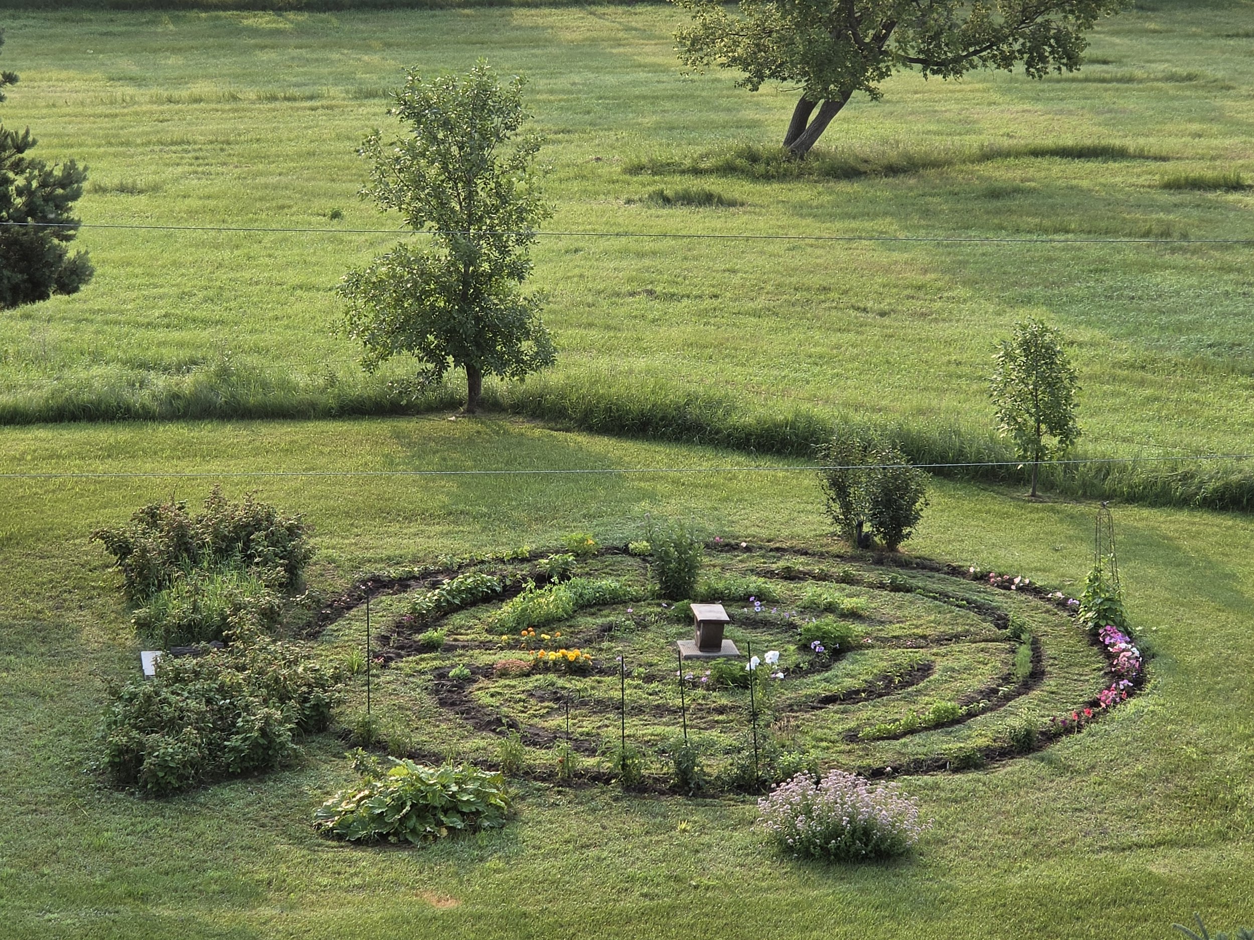 Sunday Service - Donna Thiessen on Gardening, Guilt, and God's Grace