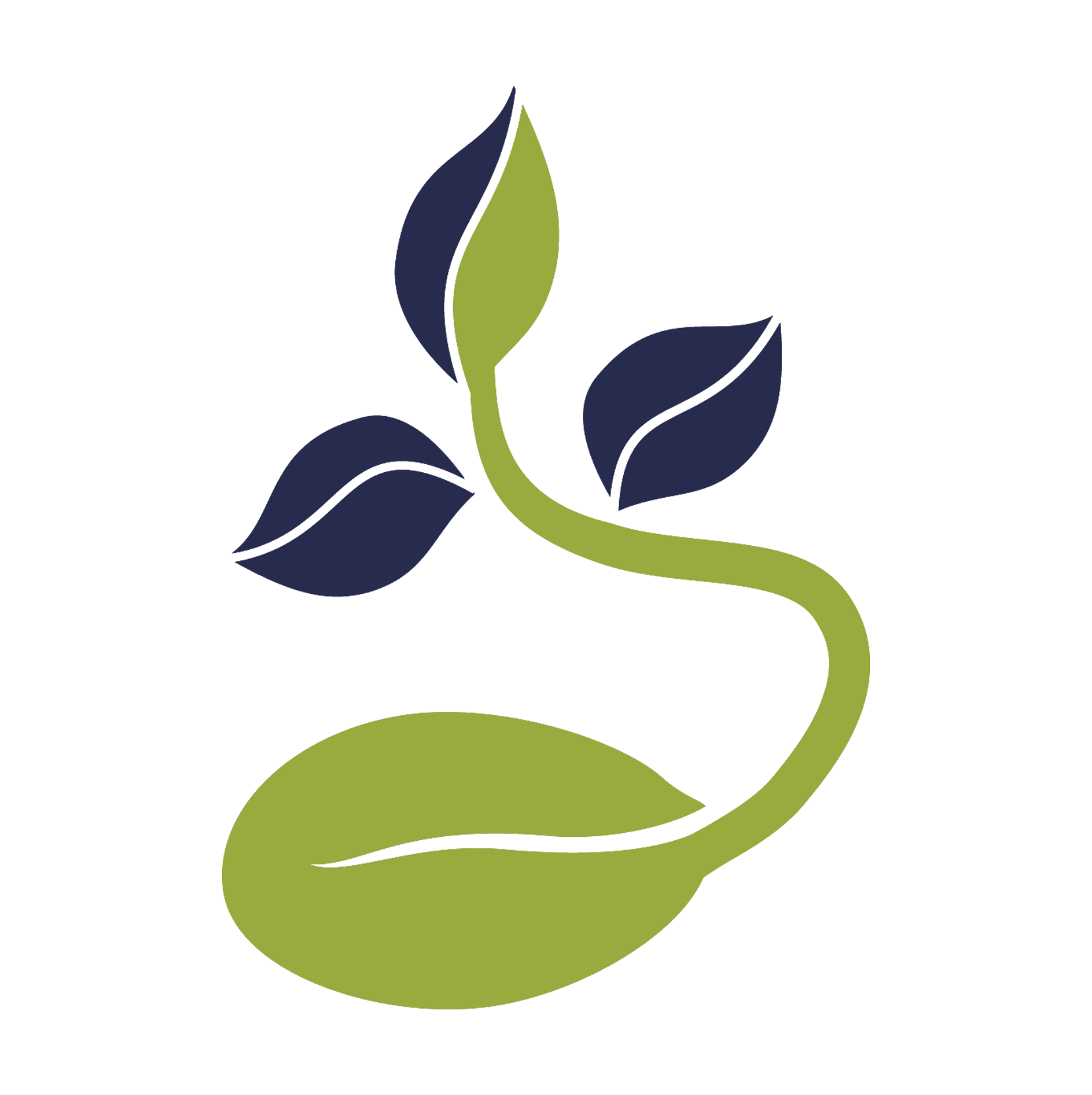 seed.png