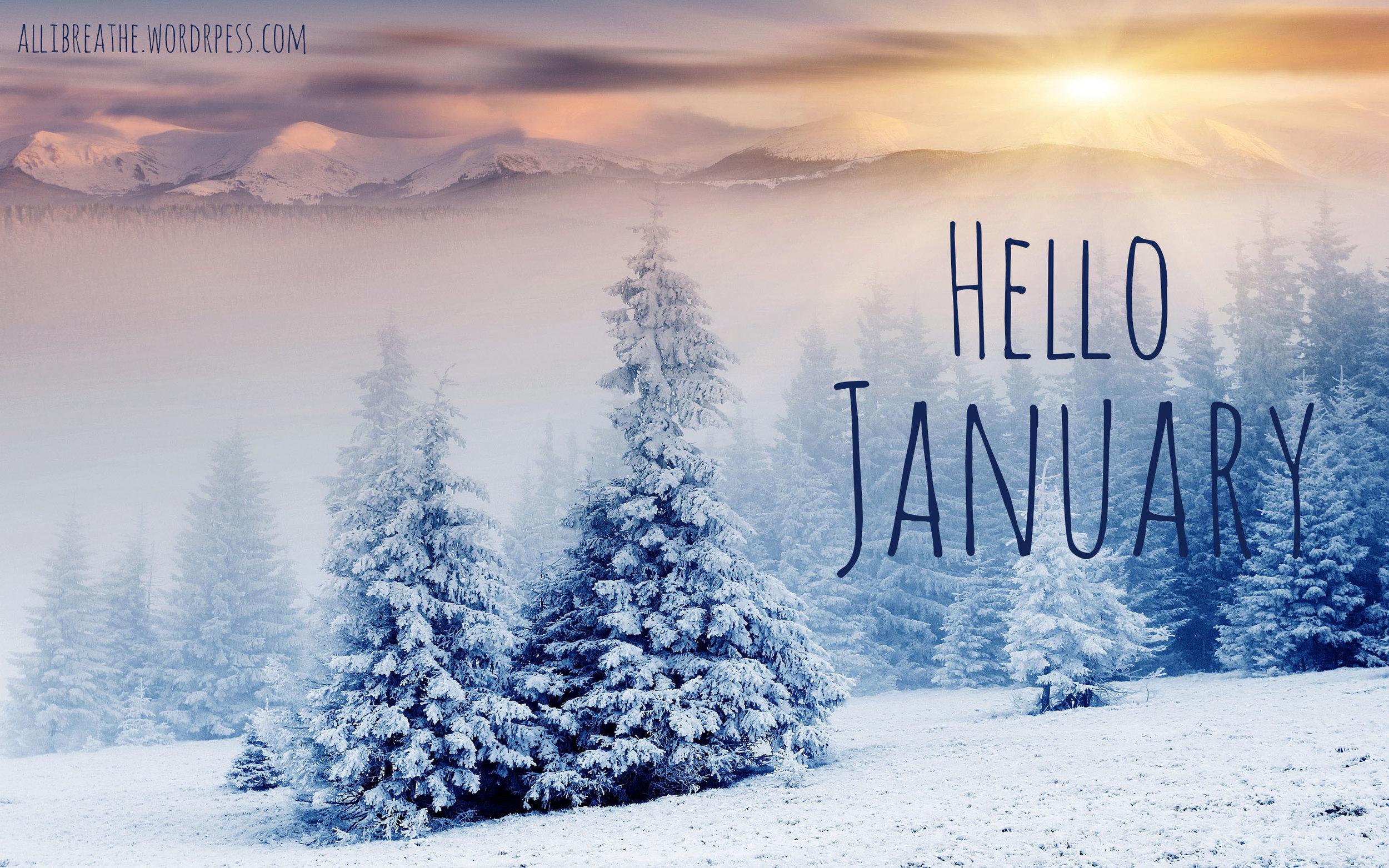 hellojanuary2015.jpg