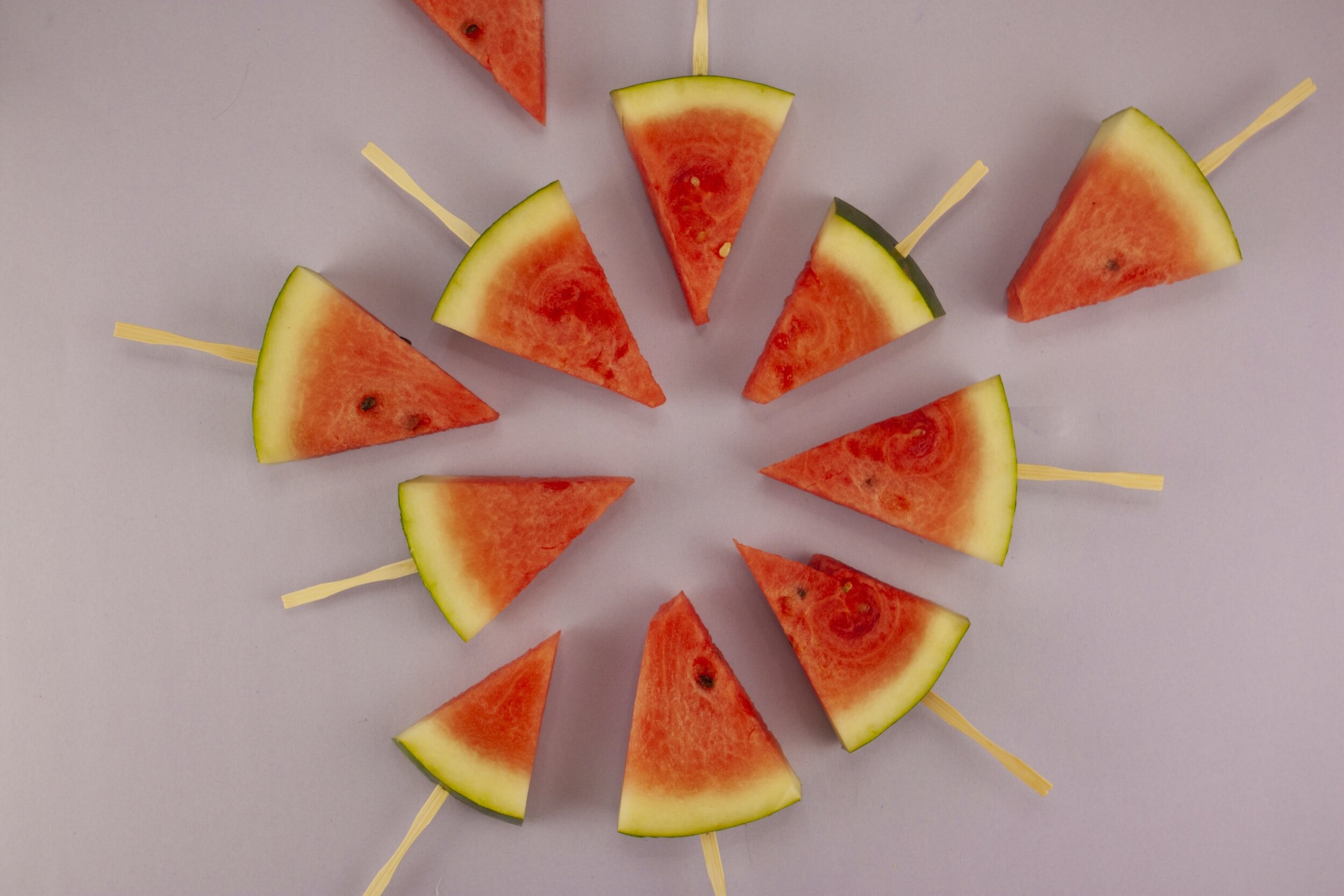 Annual Watermelon Social