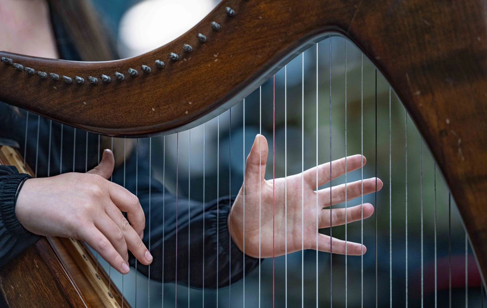 Potluck Lunch &amp; Irish Harp Music