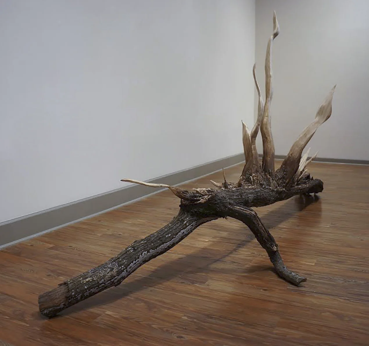 Website Tree Sculpture.jpg