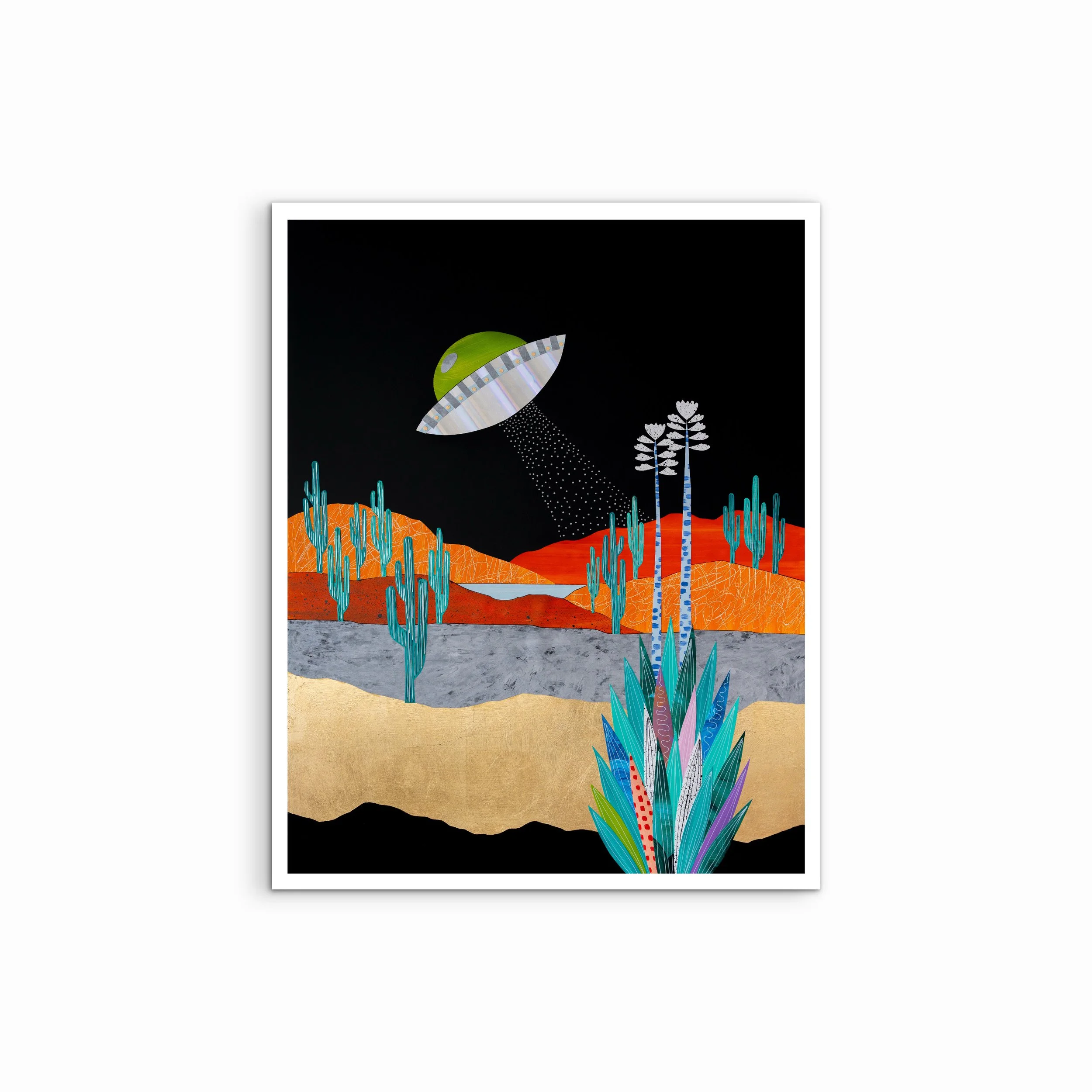 Photo Feb 14 2026, 12 27 55 (2).jpg