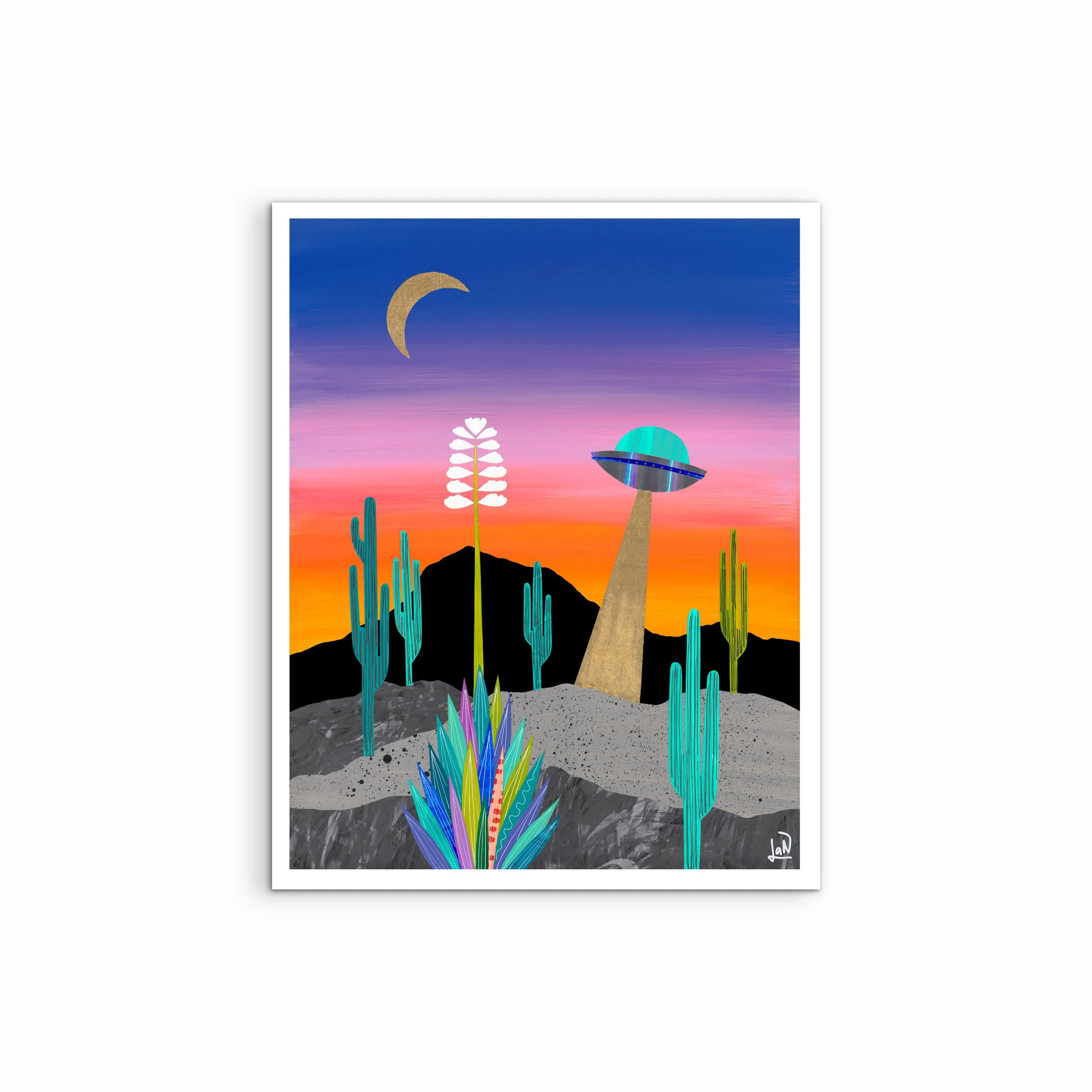 Photo Feb 14 2026, 12 27 55 (1).jpg