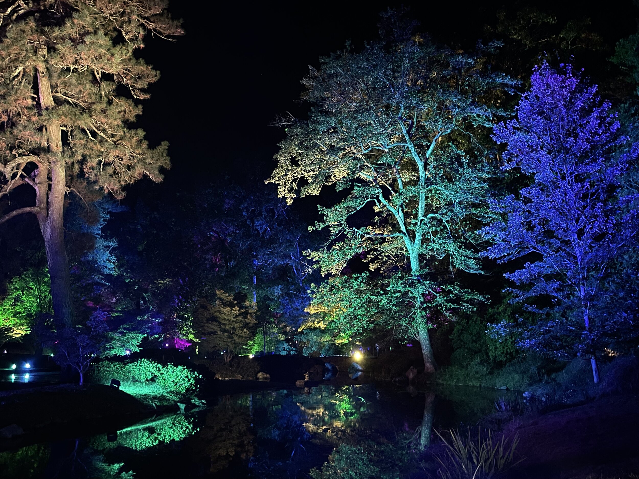 15.10 Maymont Garden Glow-17.jpg