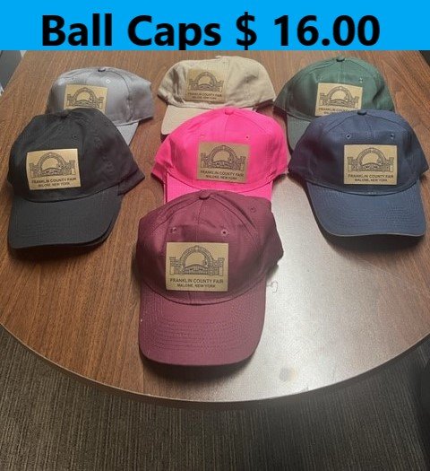 Ball Cap with price 1.jpg