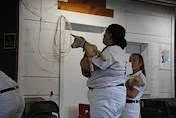 IMG_0362.jpeg