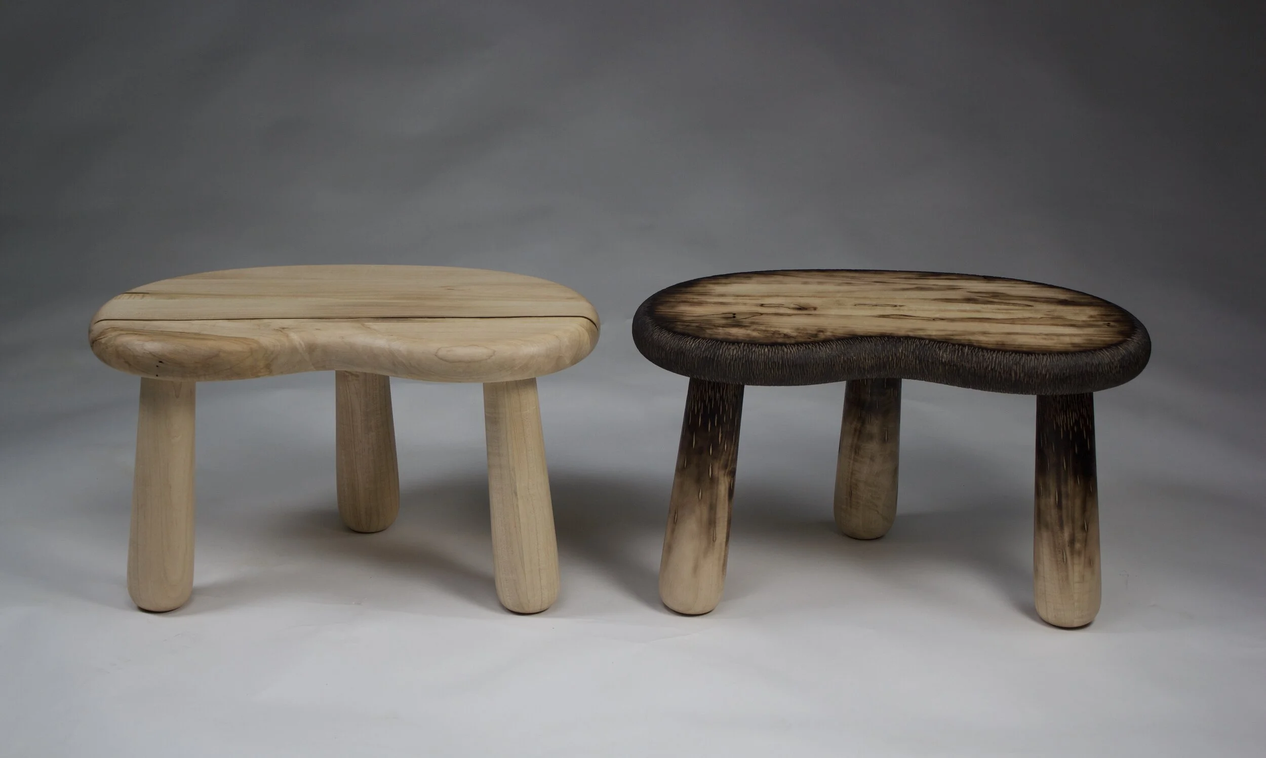 Vickie Branagan.jpeg