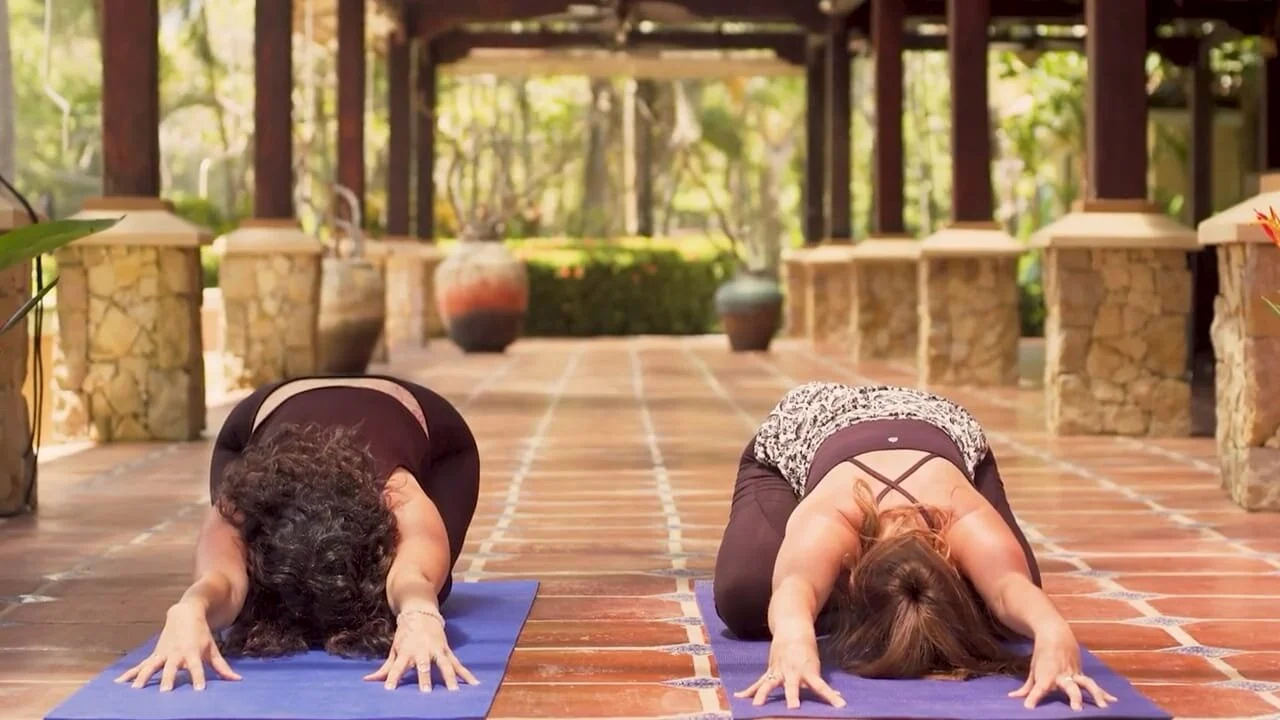 WhatsApp Image 2020-12-11 at 10.56.25 AM.jpeg