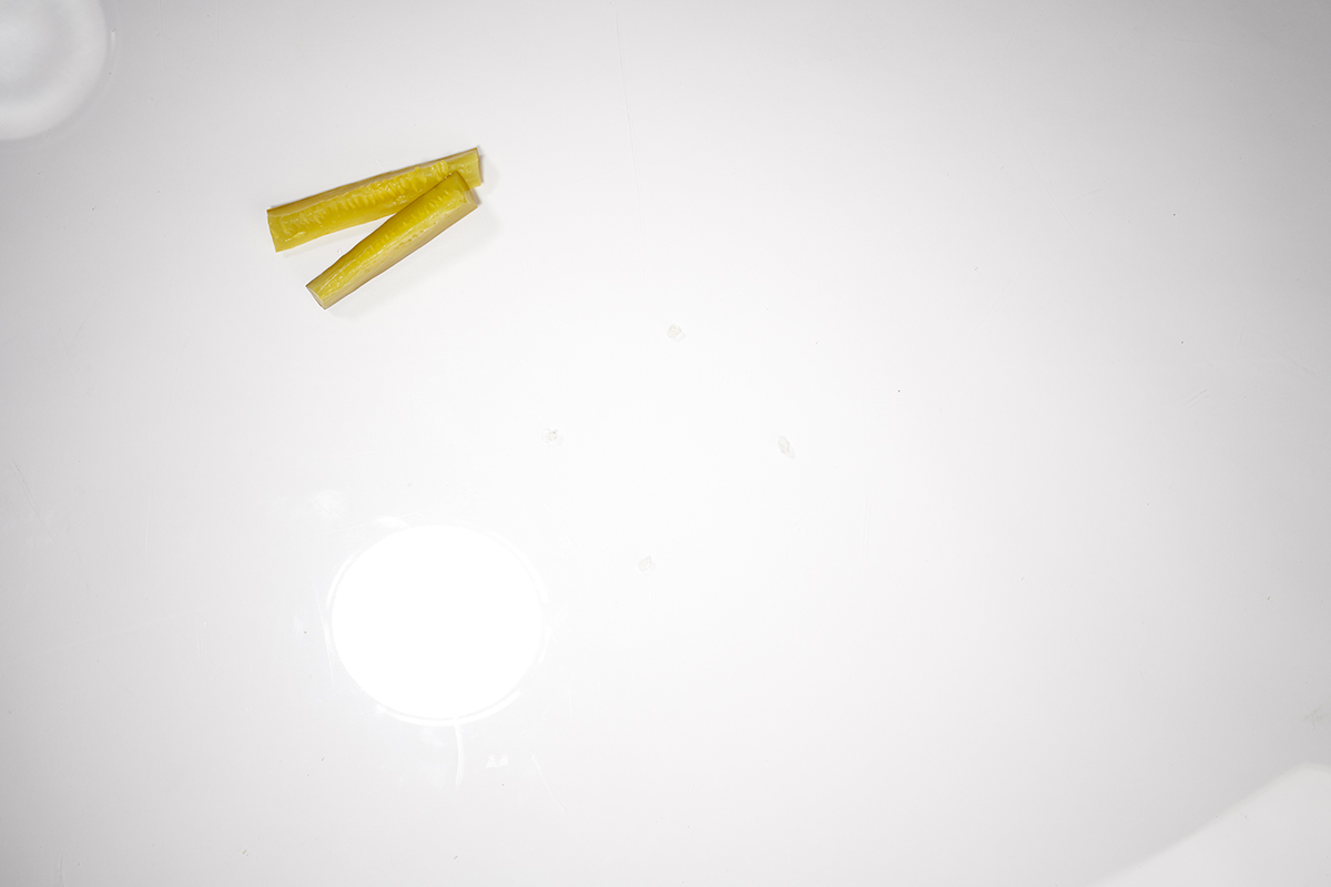 ConAgra_Burger_Pickle_Plate_Overhead_0553.jpg