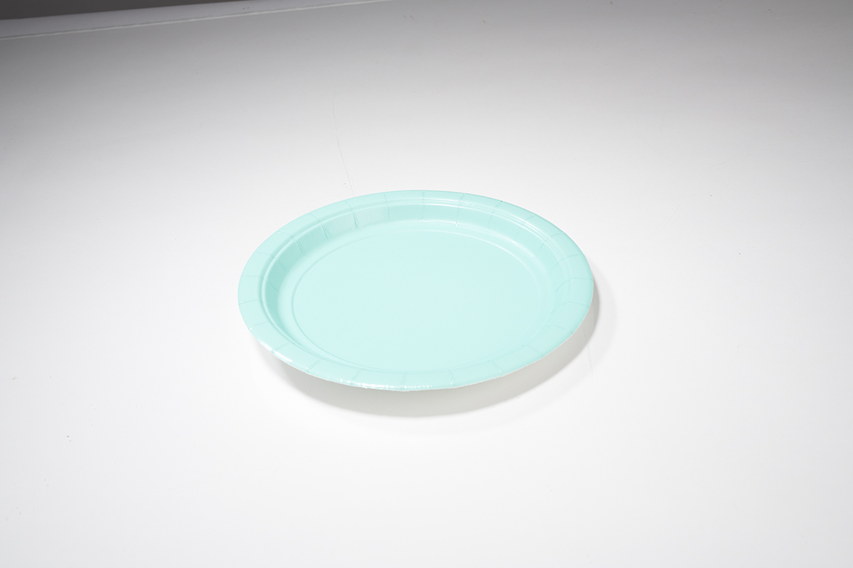 ConAgra_Plate_FocusStack_0151.jpg