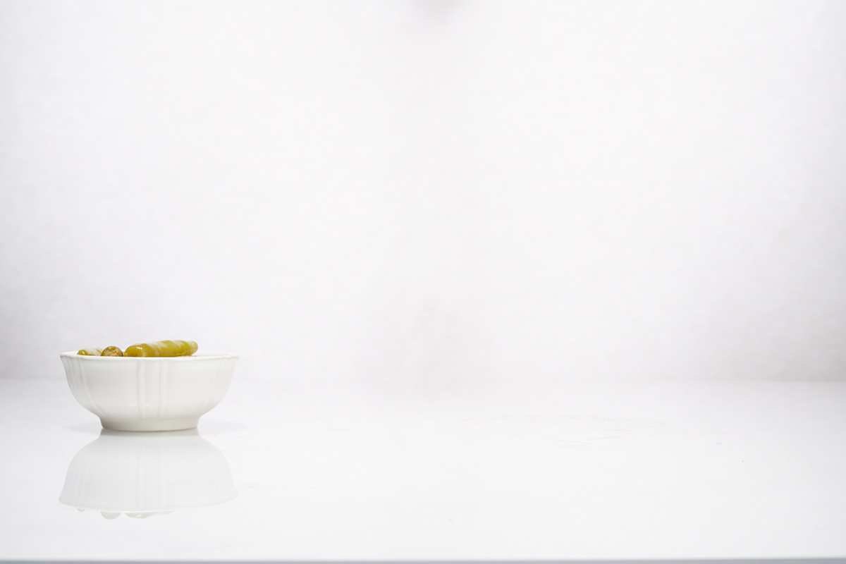 ConAgra_Plate_Hero_0919.jpg