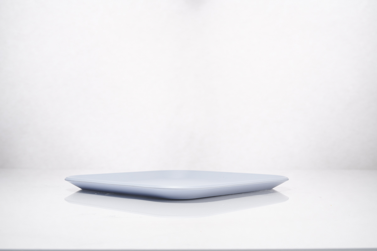 ConAgra_Plate_Hero_0909.jpg