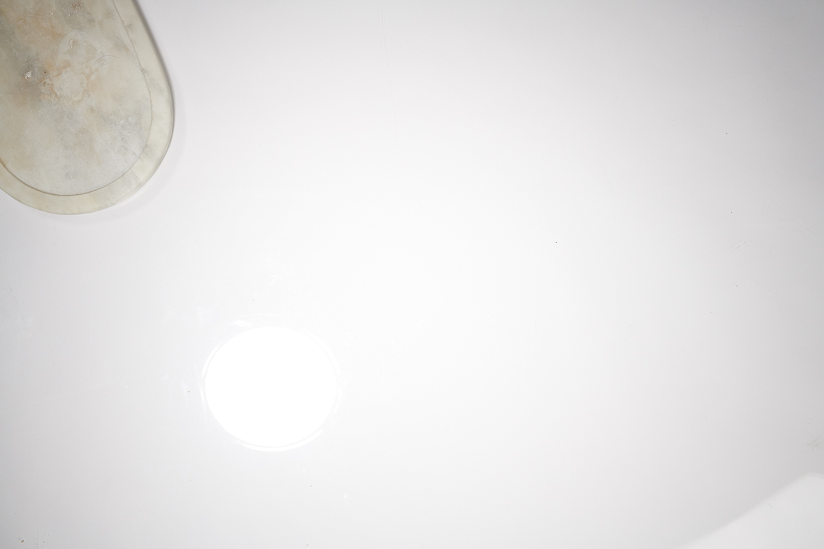 ConAgra_Plate_Overhead_0606.jpg