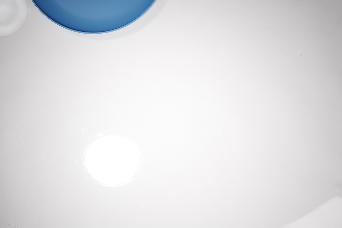 ConAgra_Plate_Overhead_0597.jpg