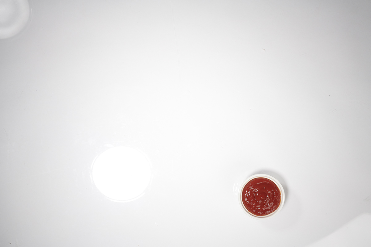 ConAgra_Plate_KetchupOverhead_0611.jpg