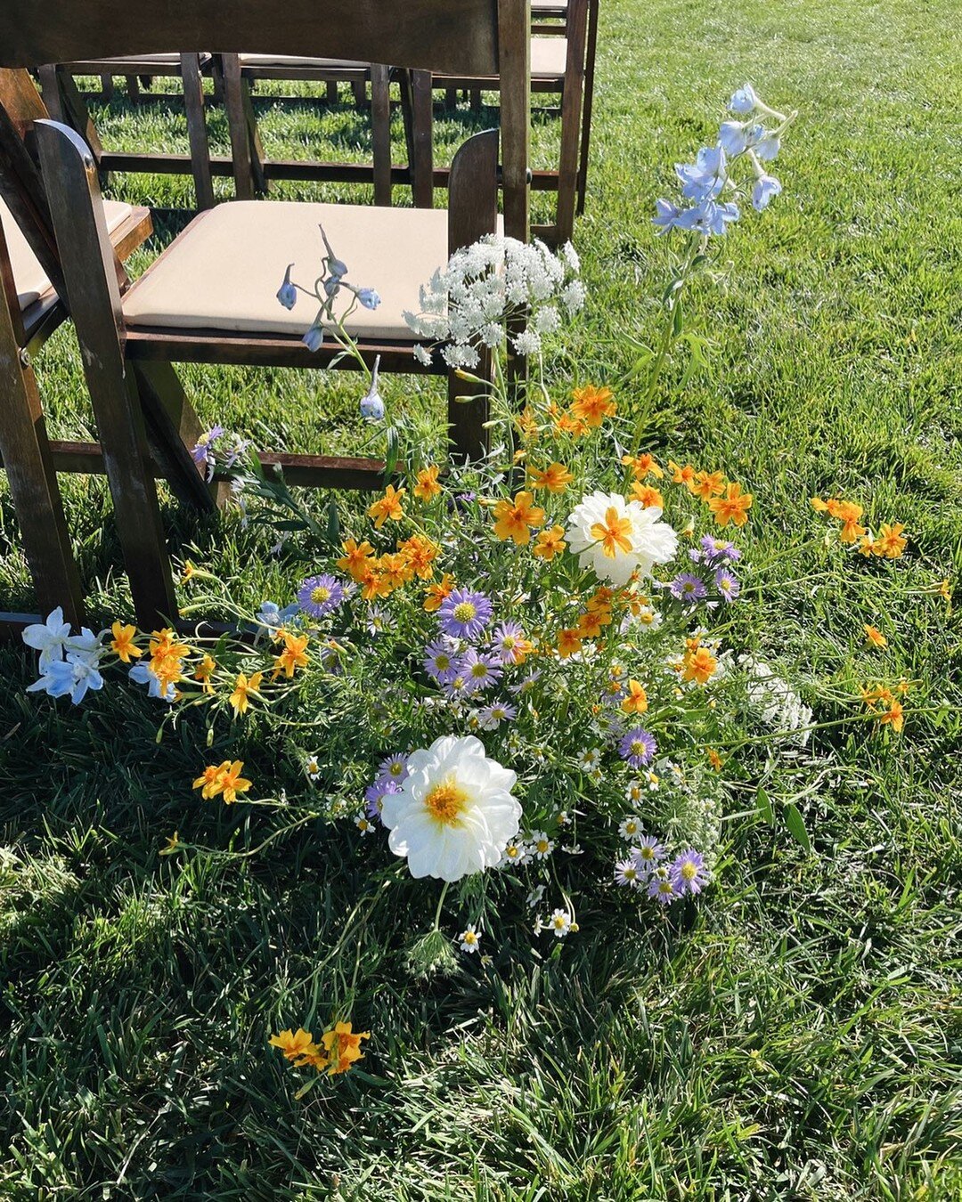 Wildflower San Diego Florist