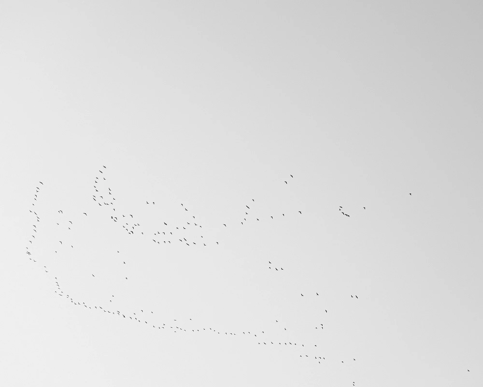 Capture_372.jpg