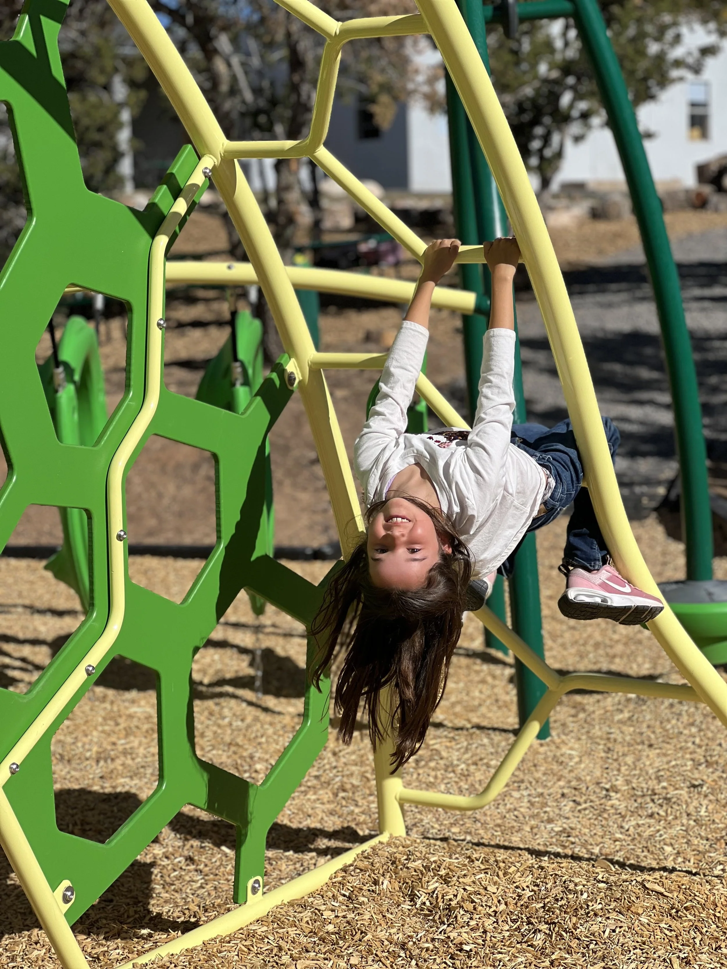 Little girl playing on the playground