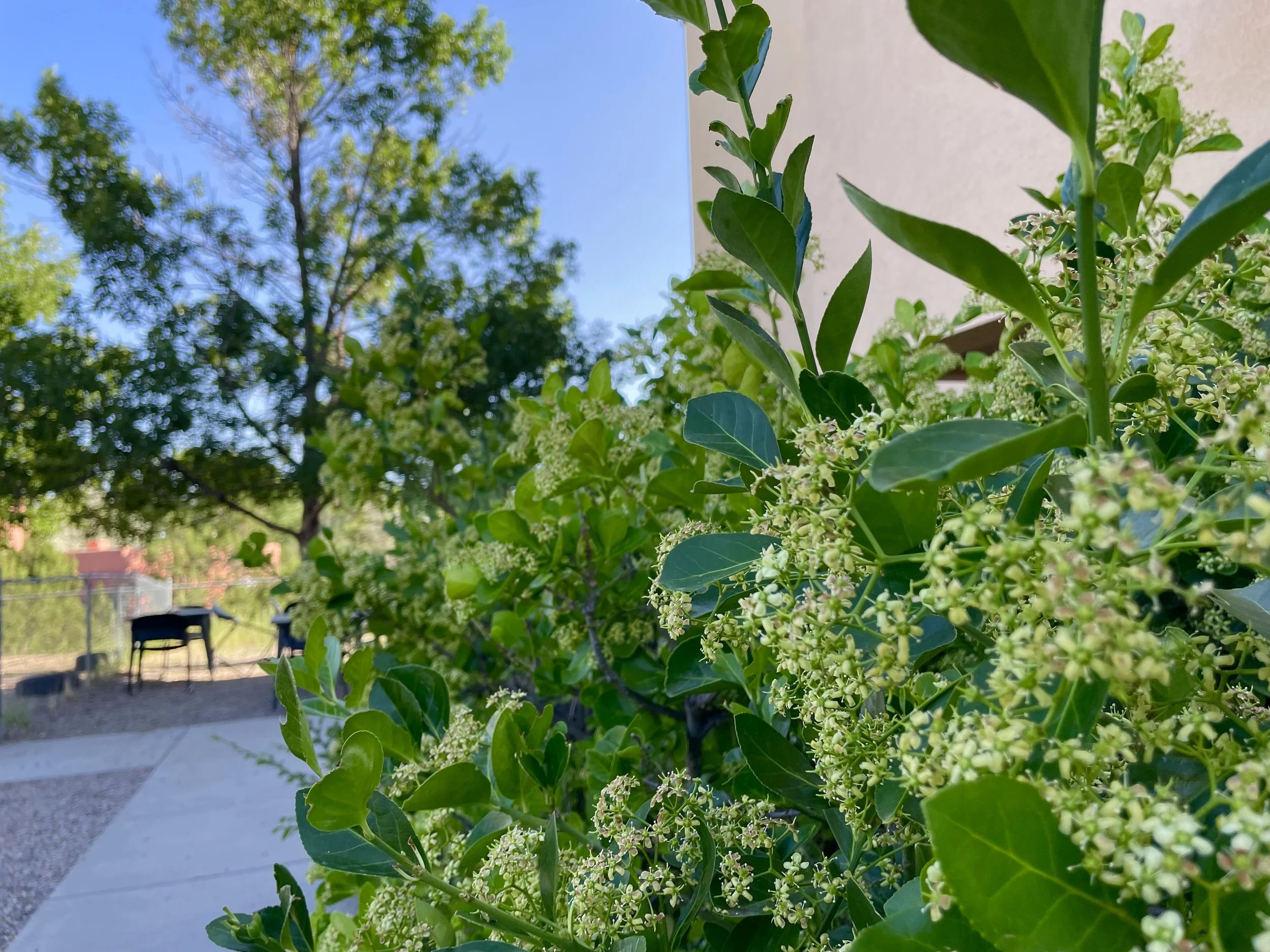 May Families Committee Meeting