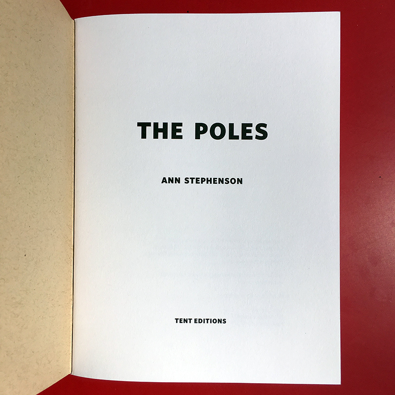 ThePoles1.jpg