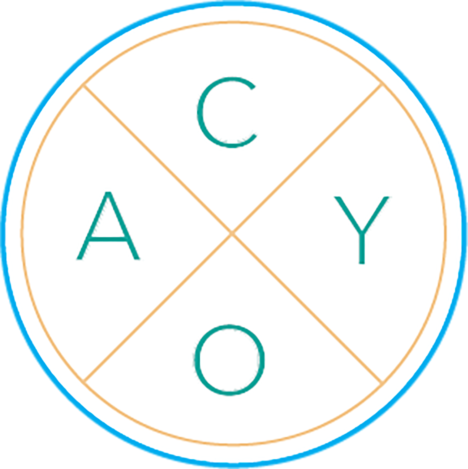 CAYO Residency 