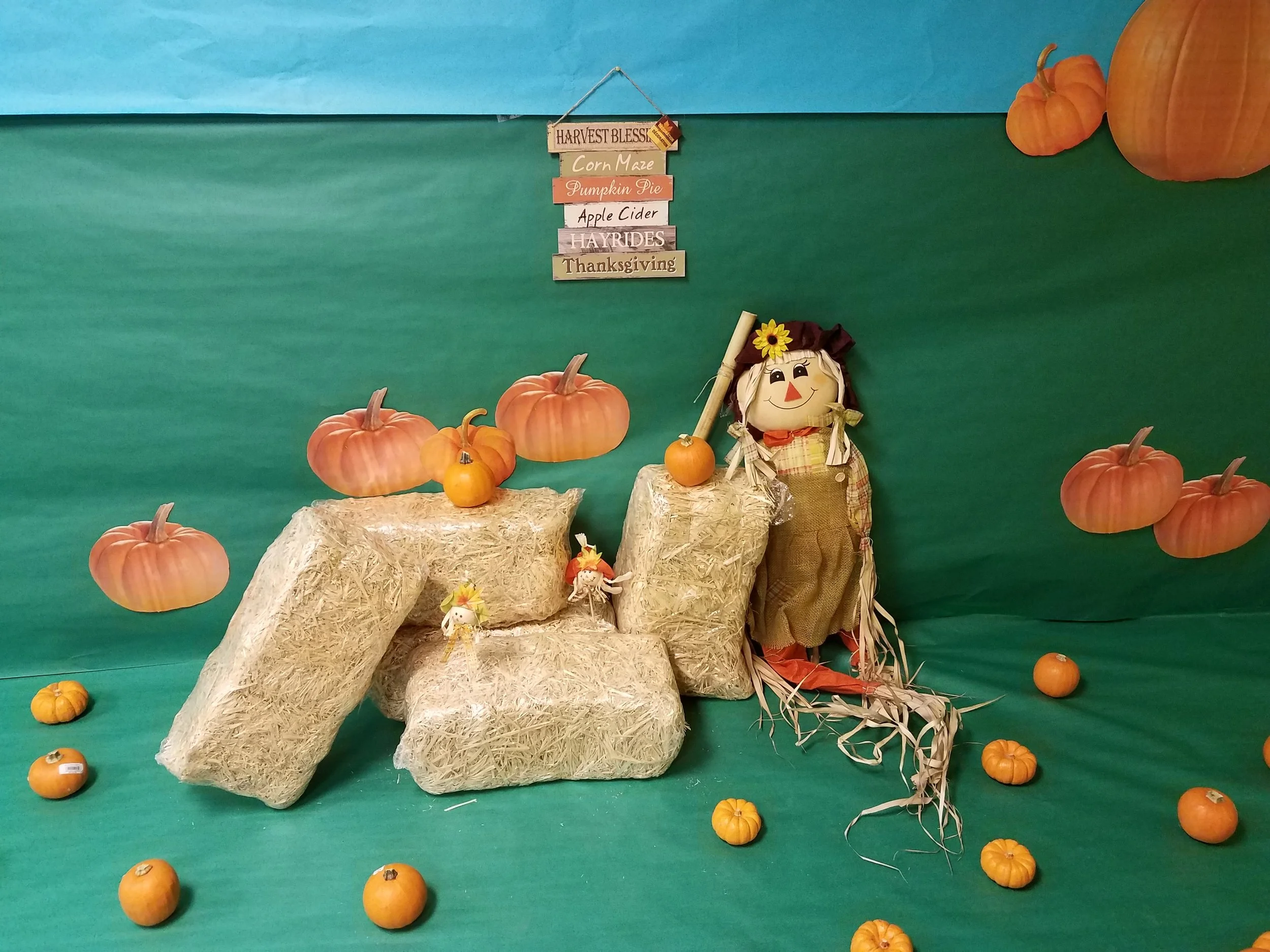 20171116_093008.jpg