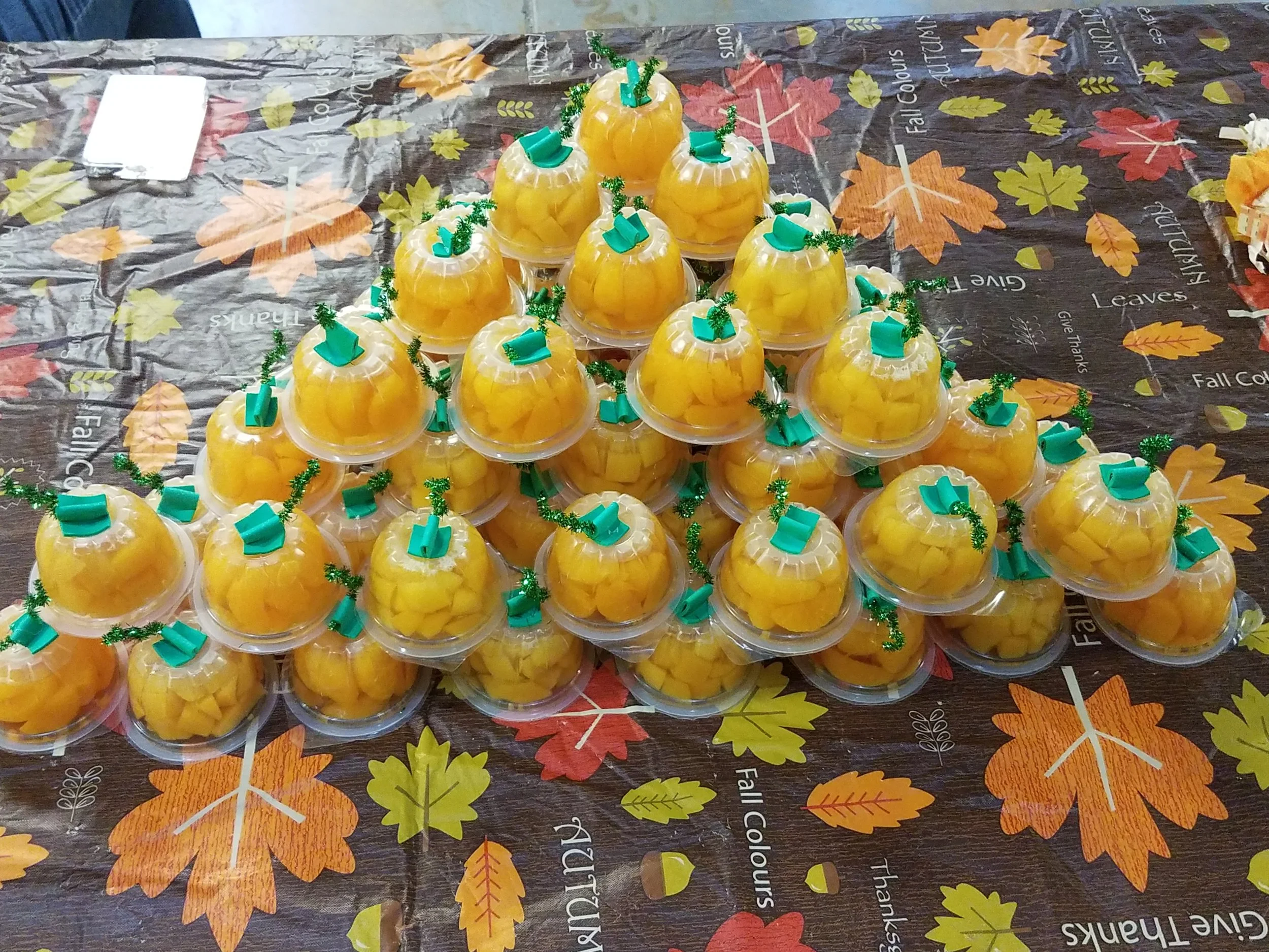 20171116_094027.jpg