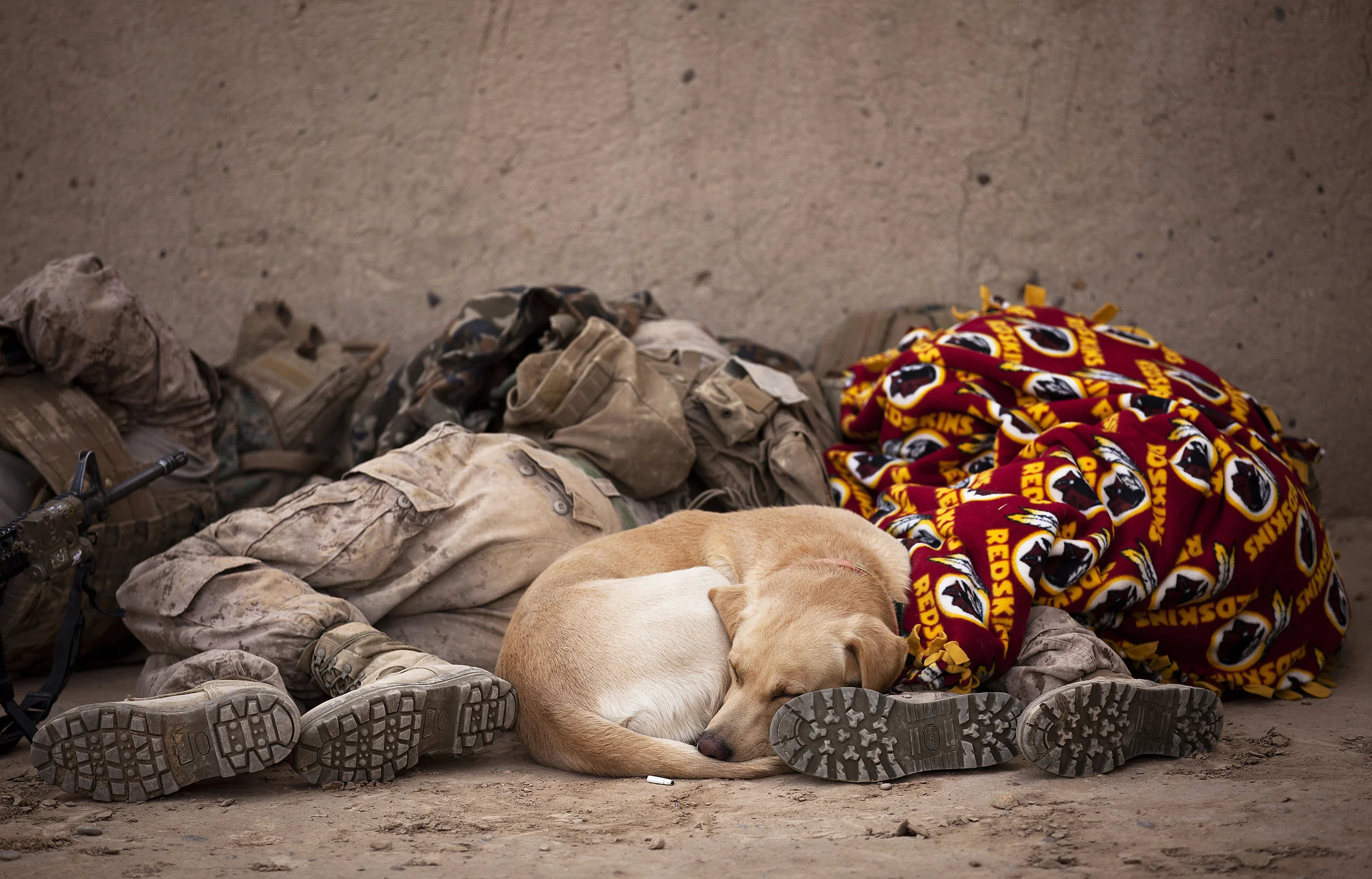 Let Sleeping Dogs Lie
