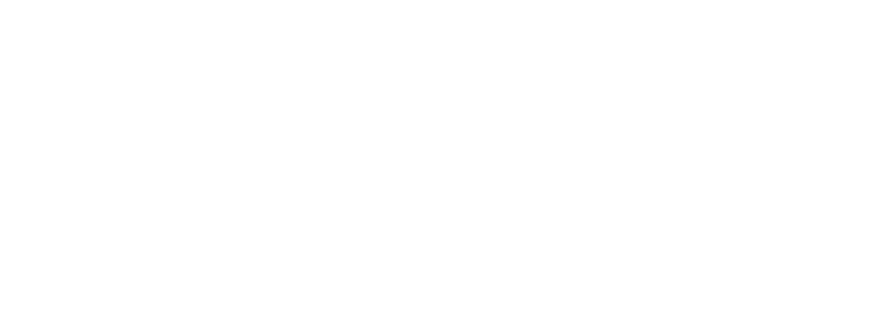 konzept ALPHA copy.png