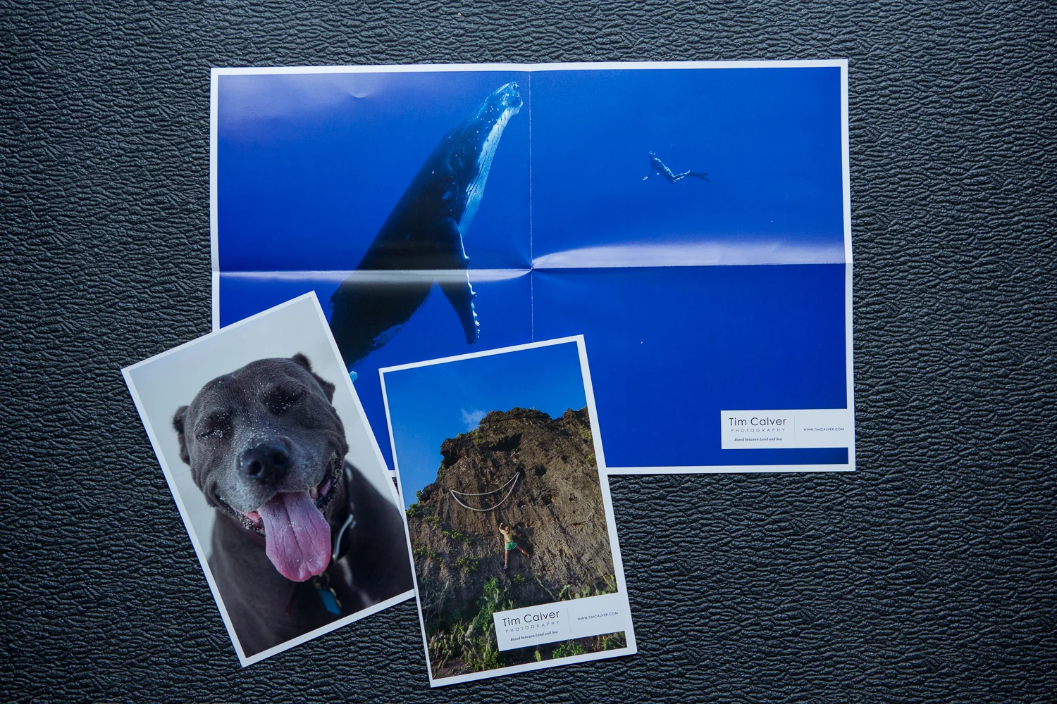 Case Study: Tim Calver