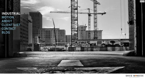 David McNeese Print Portfolio, Website, and Promos