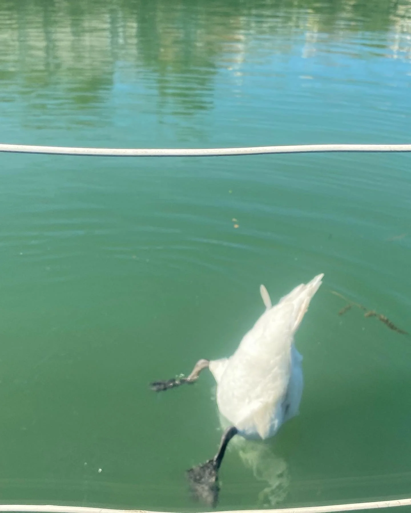 Long Hot Summer / Un Long et Chaud Eté