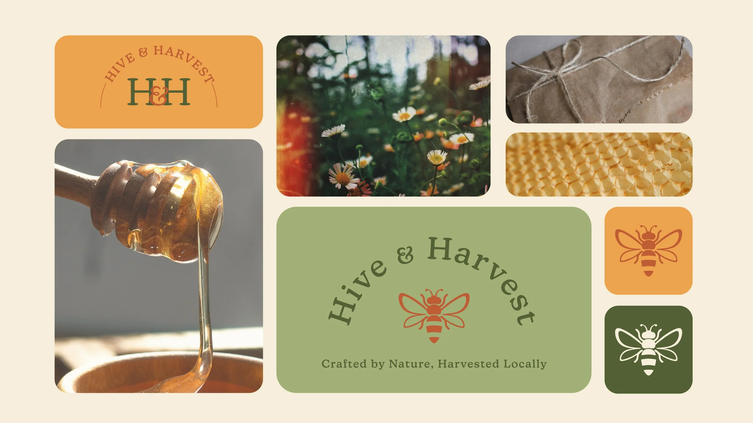 hiveandharvest-08.jpg