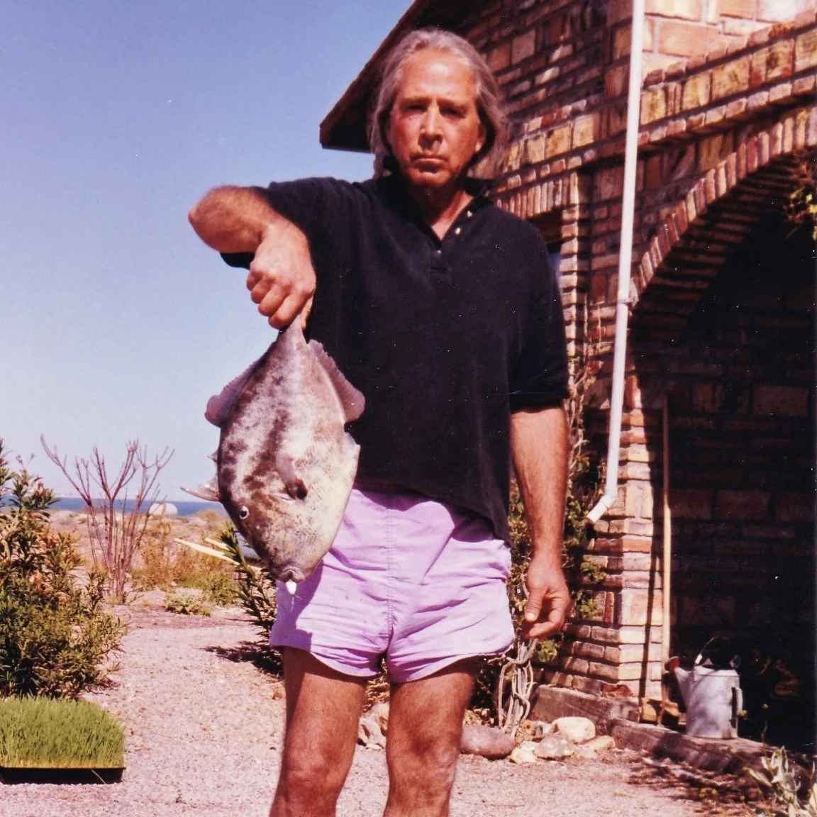 Trigger fish