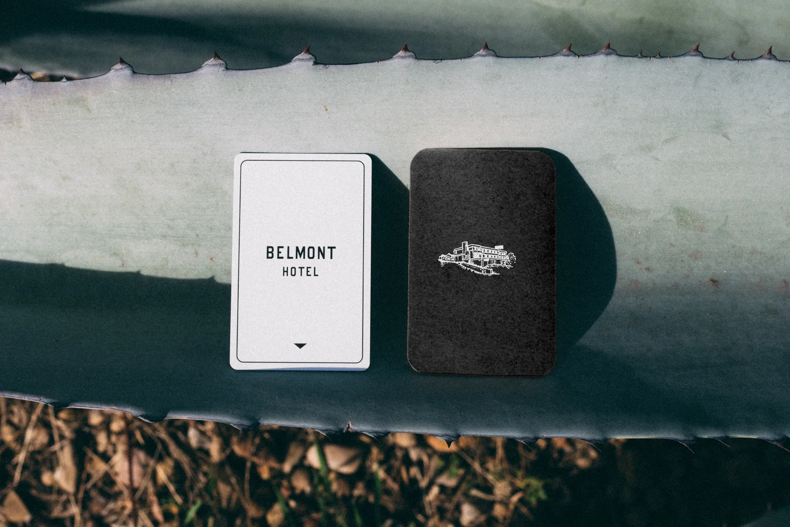 InspoFinds-Belmont-Hotel-Branding-05.jpg