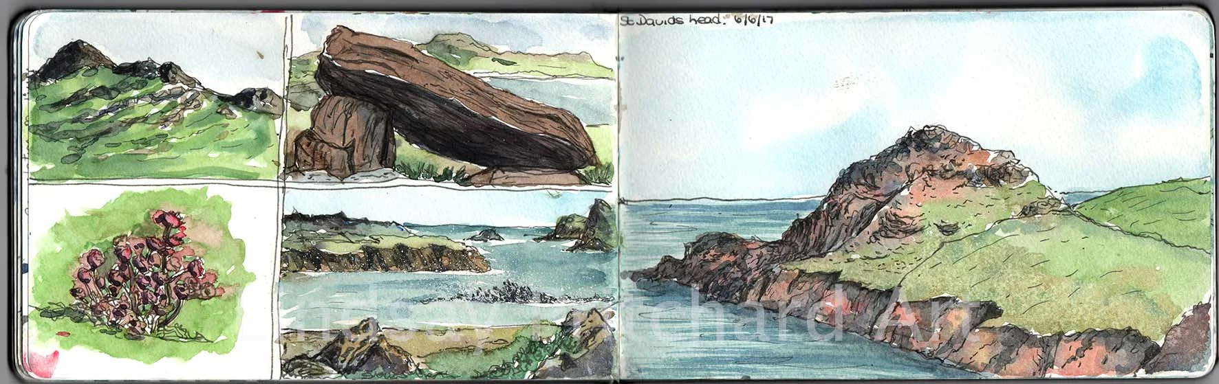 St Davids Head