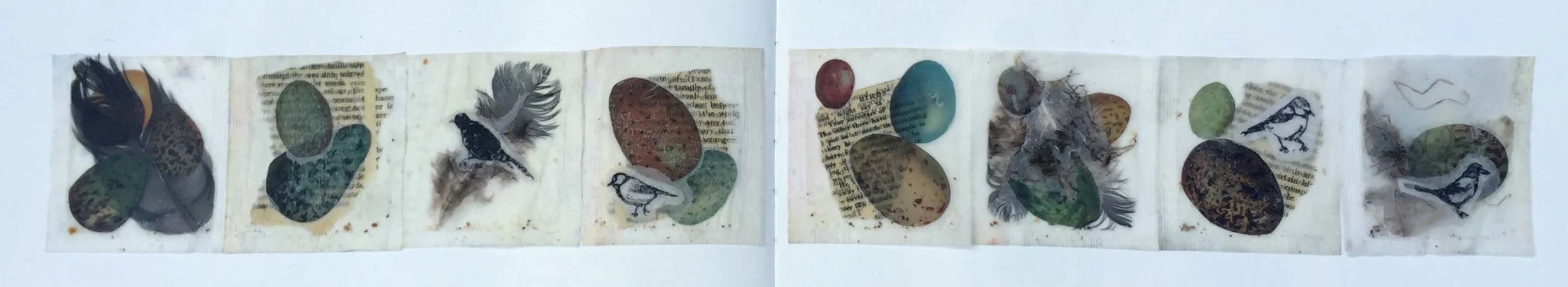 Tea bag birds
