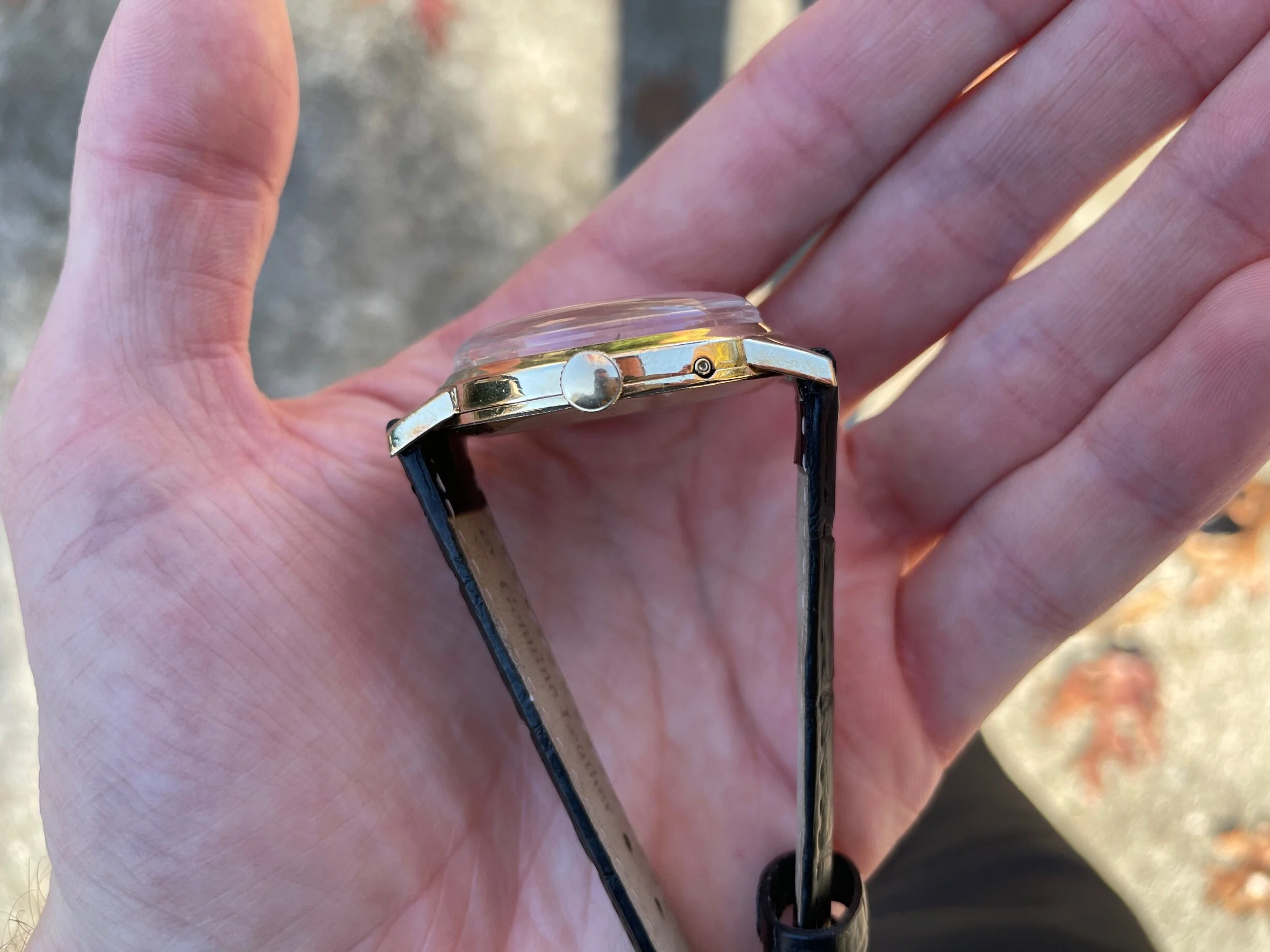 4AE4234A-5E7C-4AE3-AF2F-EA76FC1036B9