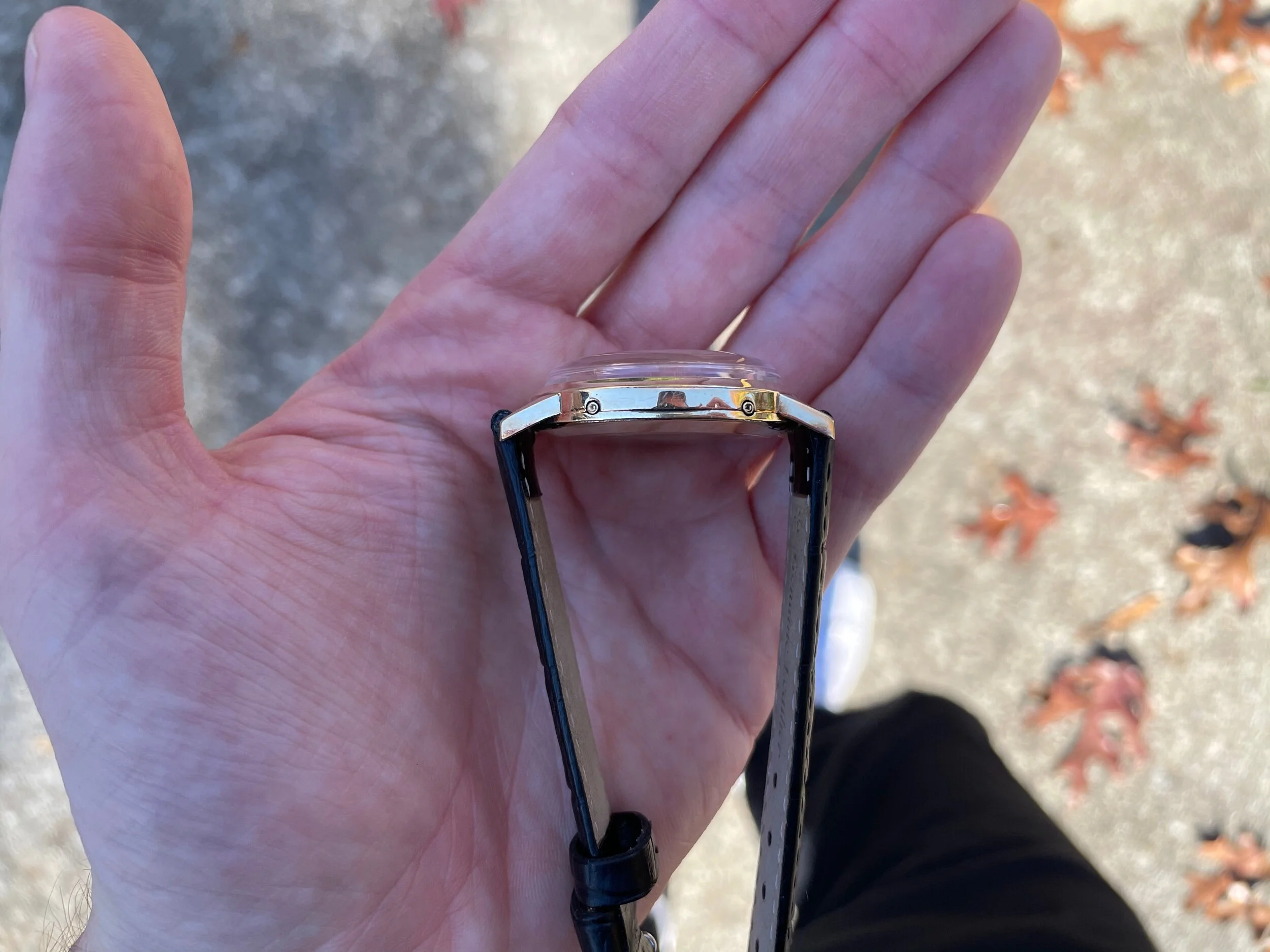 5F2536A0-CB25-4DED-A1E6-E1FD56A9927B