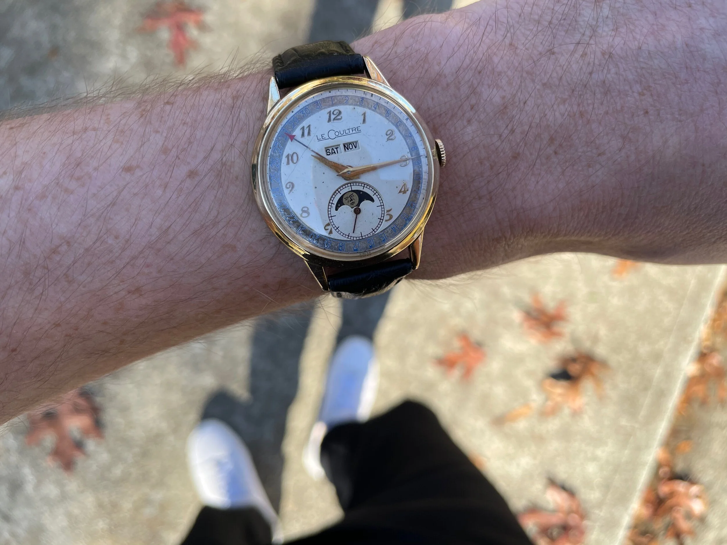 6DACE3CB-176E-436D-BD92-B8D9A77F8CC3