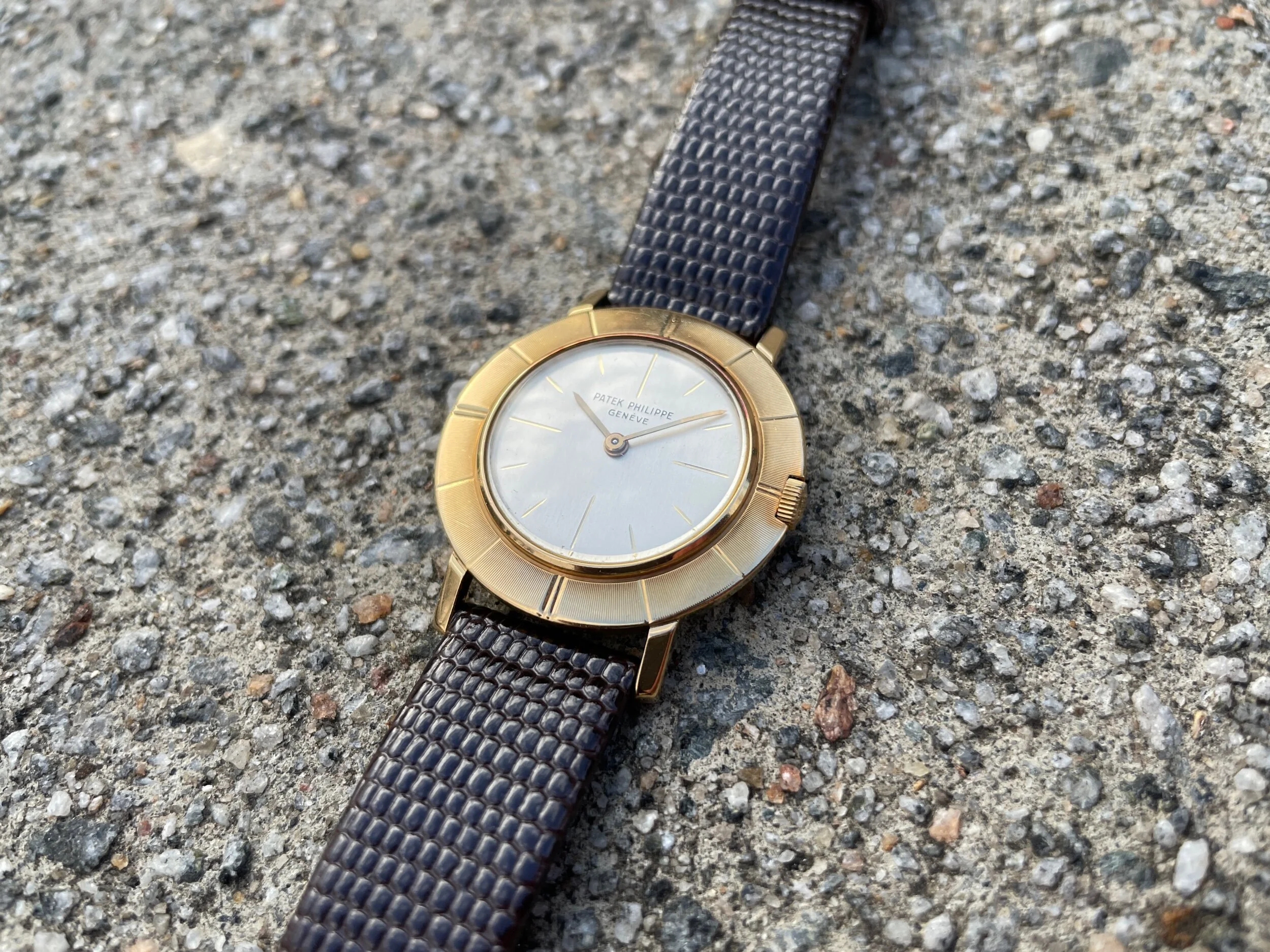 E3E6453C-A803-4470-9B0D-C6E1E27CDC87