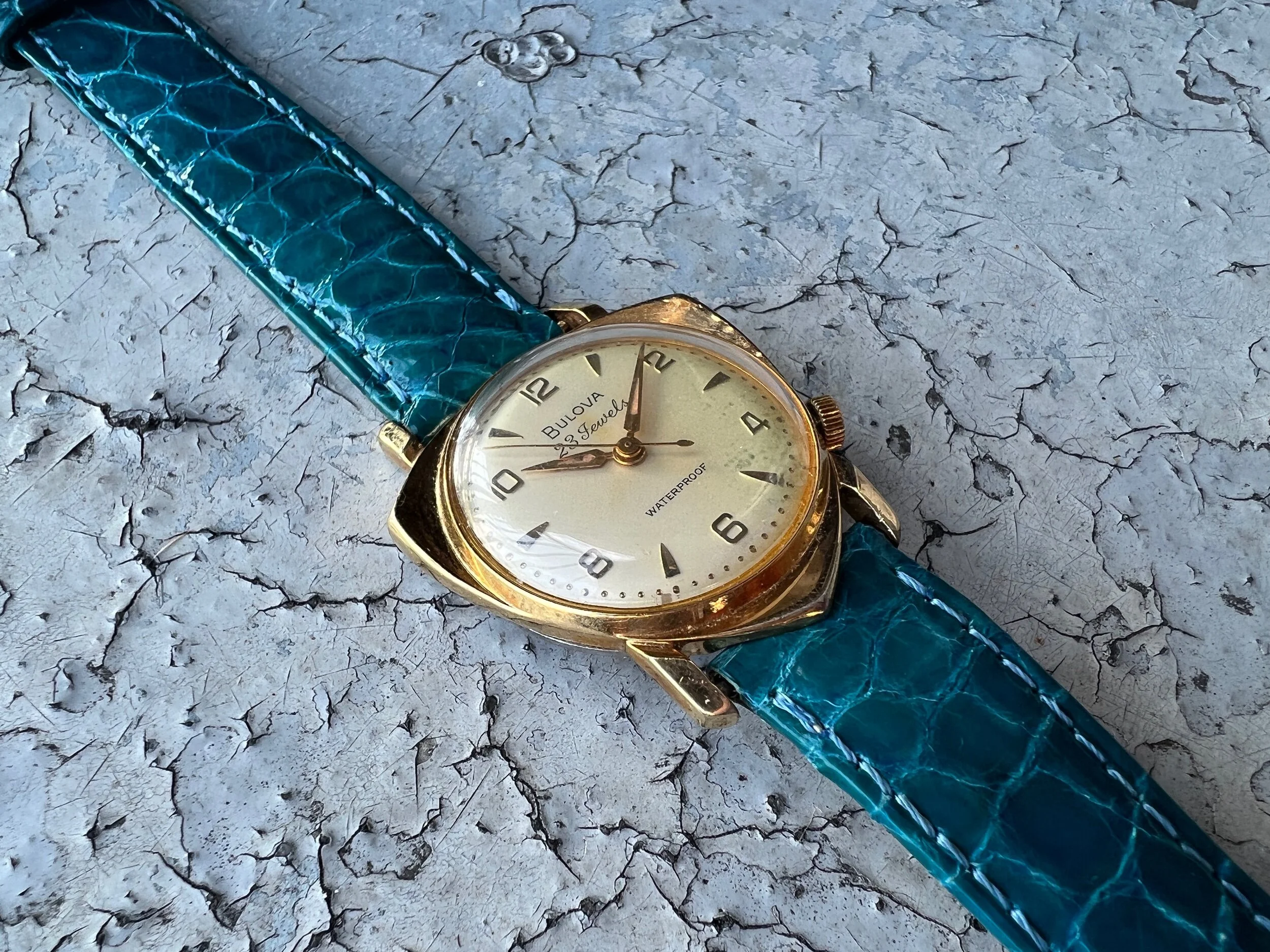 91F08B2F-43F6-4915-8B98-08C482D5F201