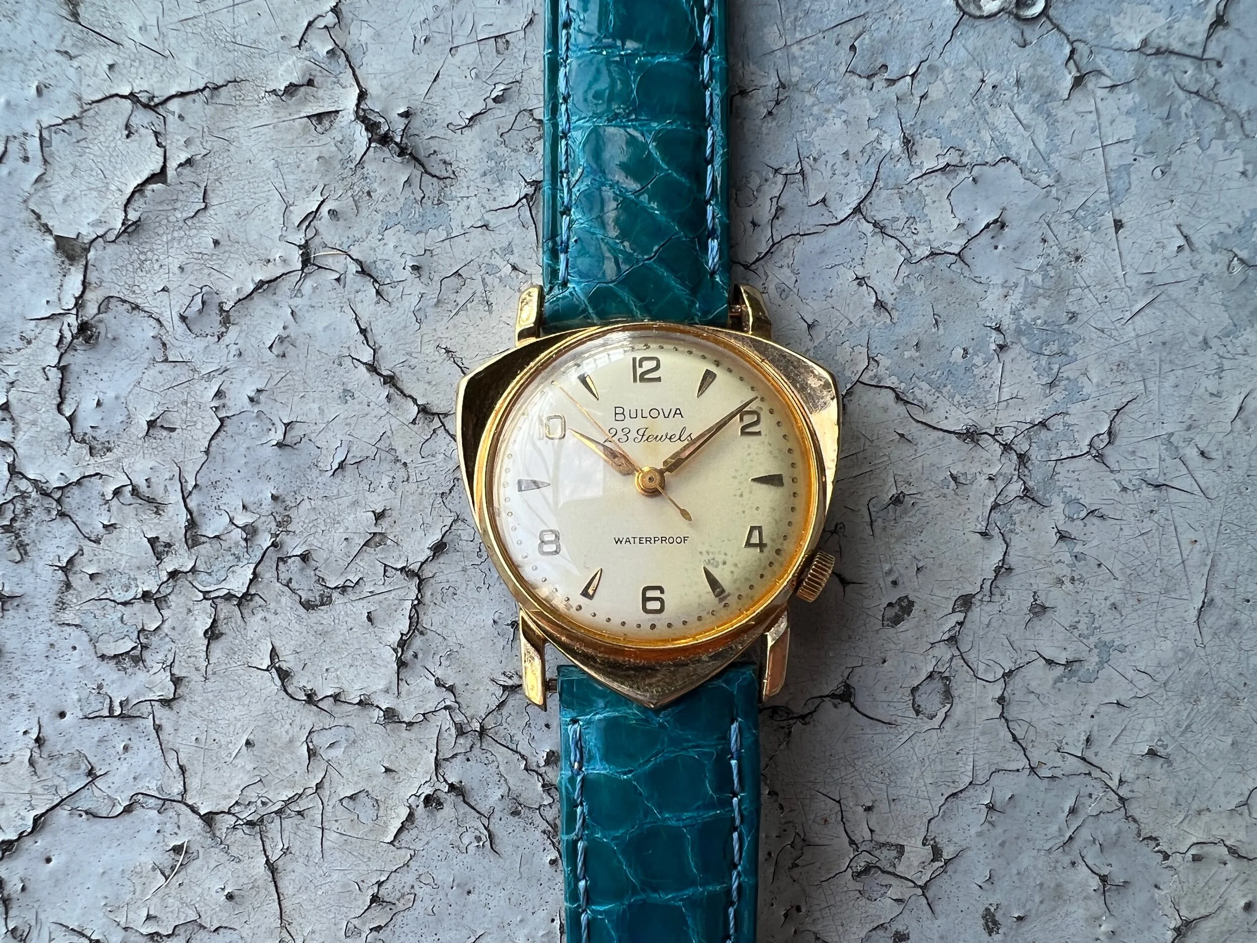 AF3F761B-4453-43E7-97F2-8AC692AC6EF3