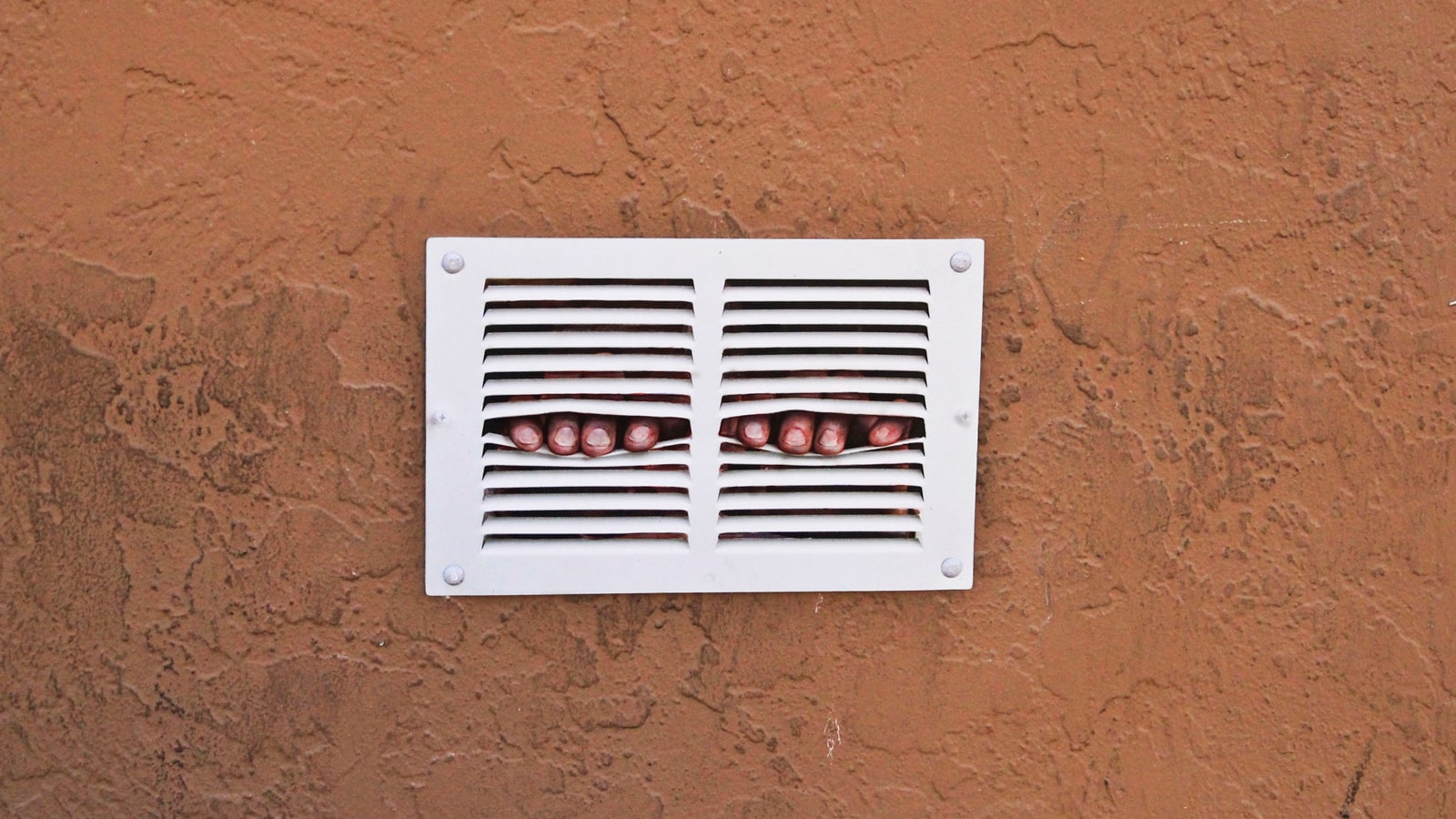 2017 | Dan Witz (USA)