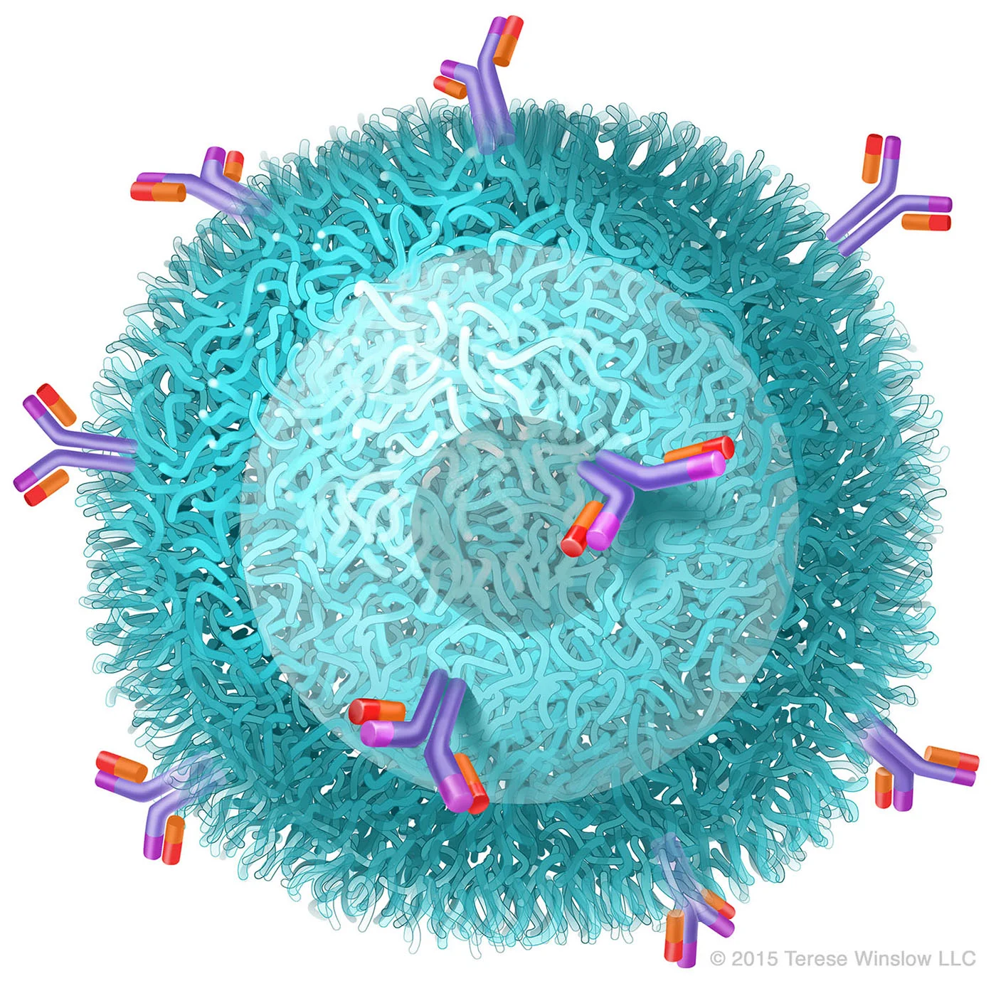 Nanoparticle
