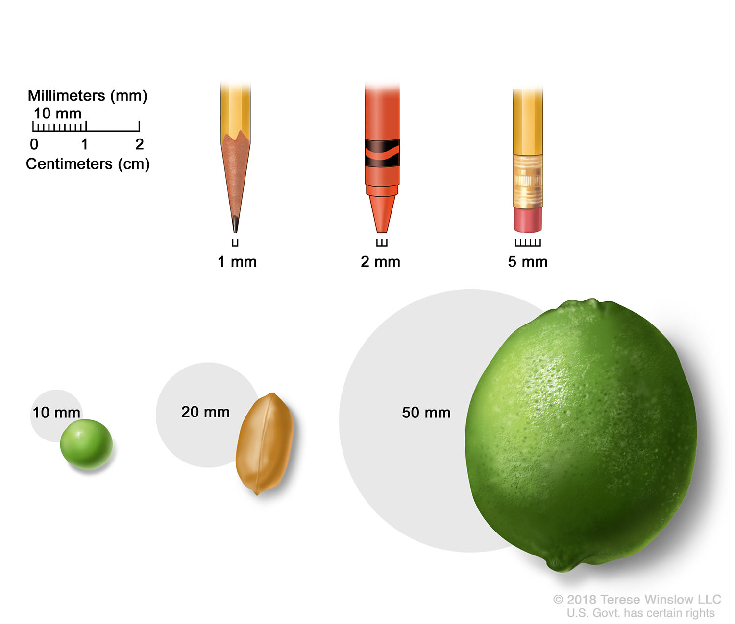 Tumor Sizes in Millimeters and Centimeters