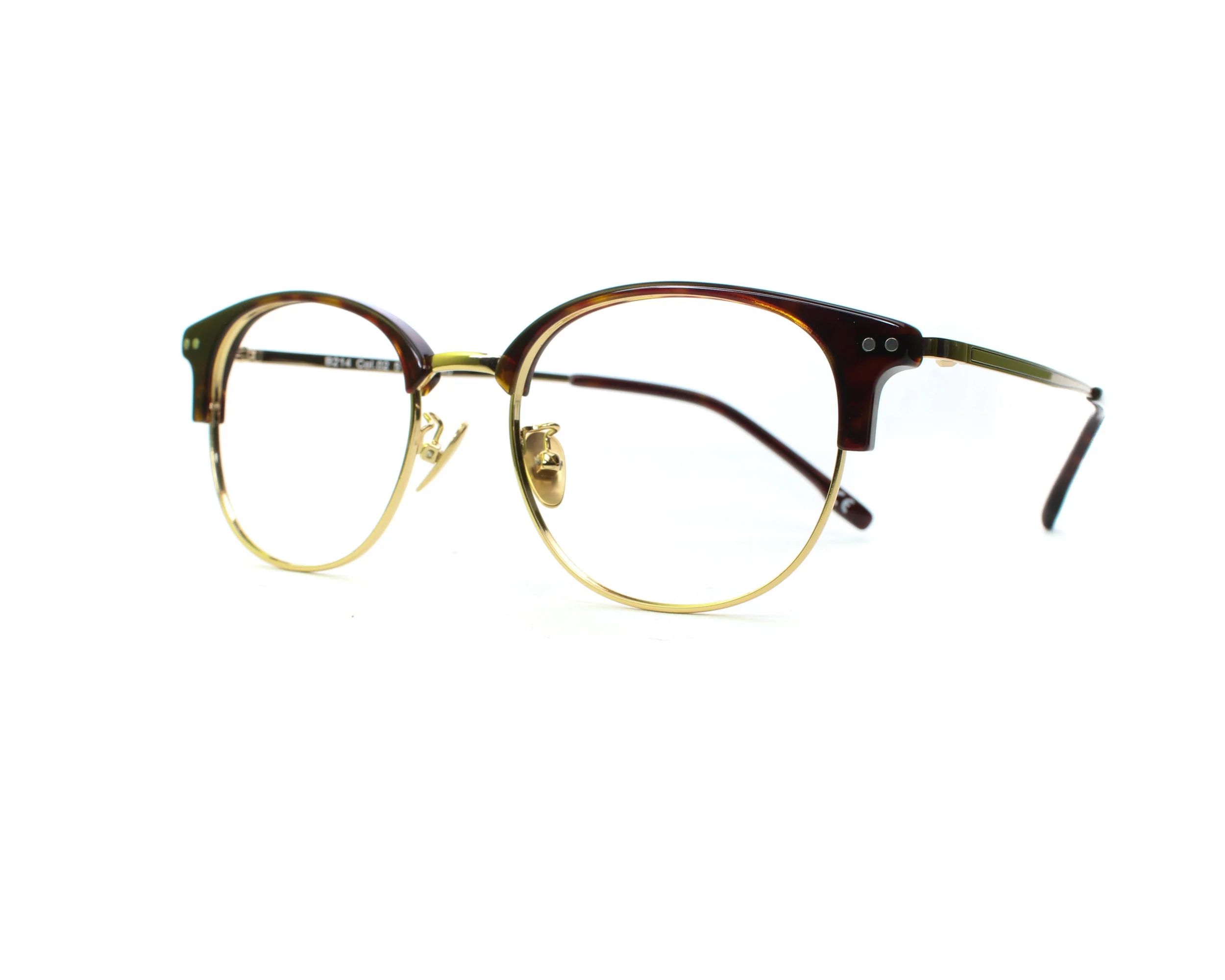 B. Frank Bellevue Tortoise 2.jpg