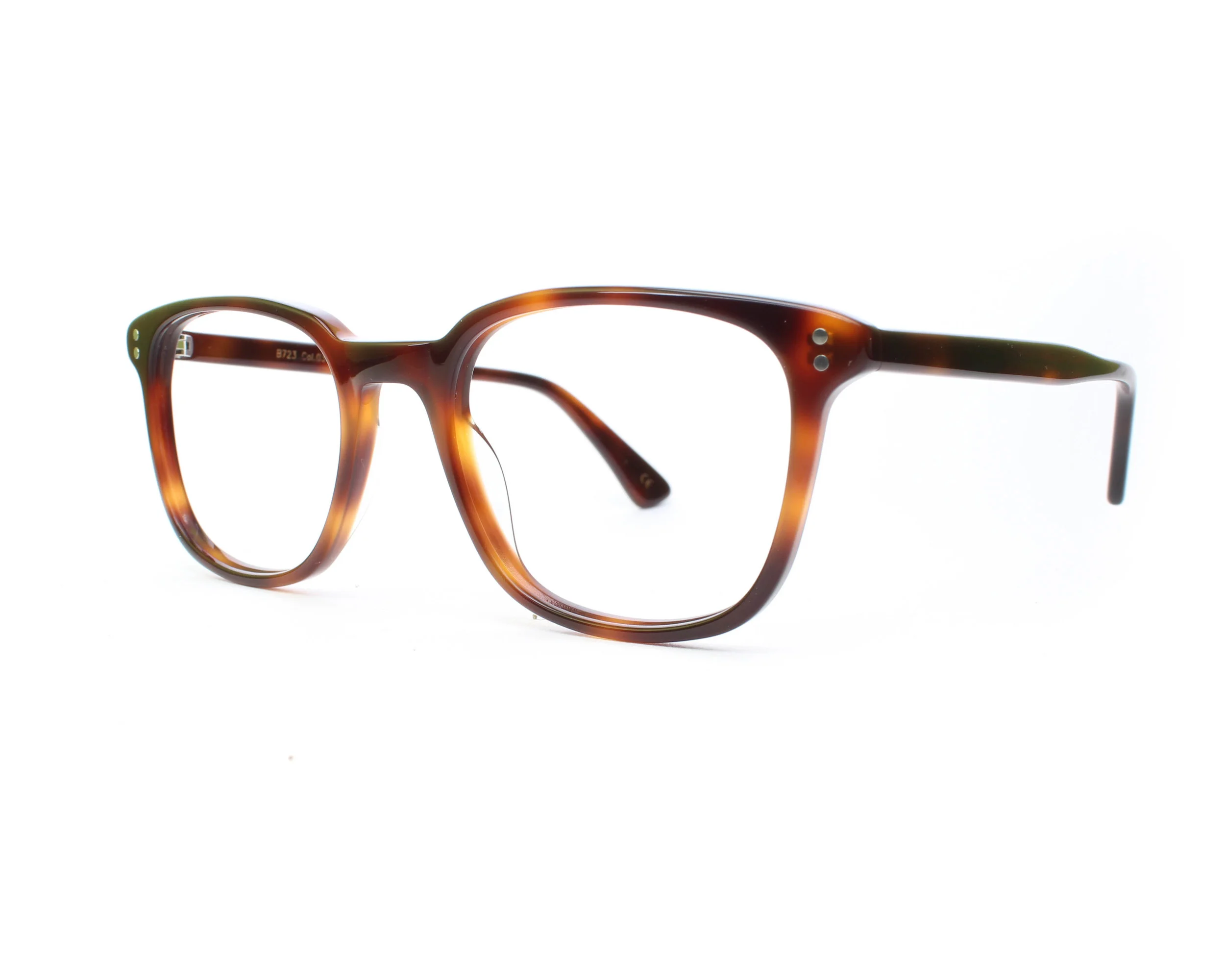 B. Frank Kodiak Tortoise 1.jpg